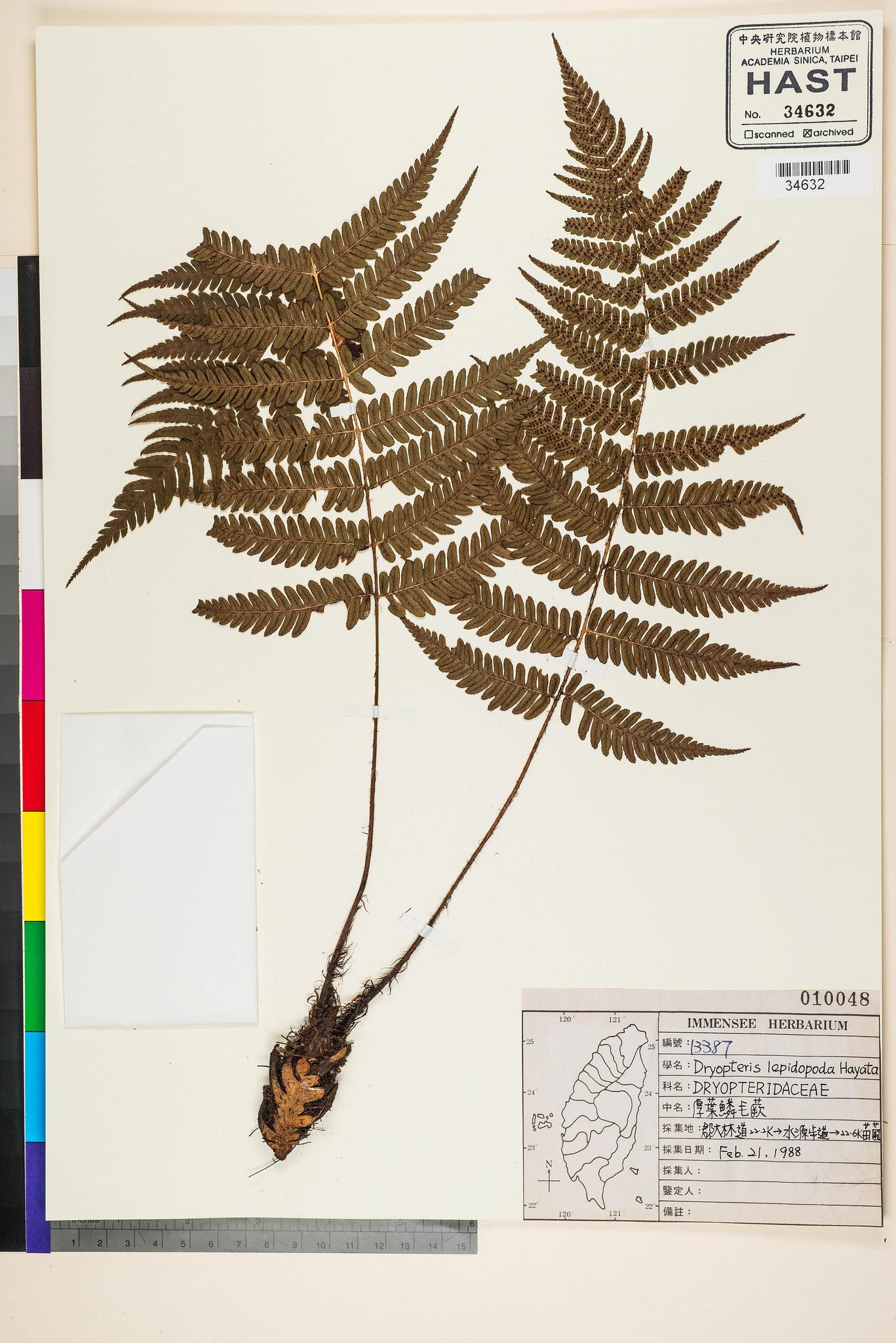 Specimen image