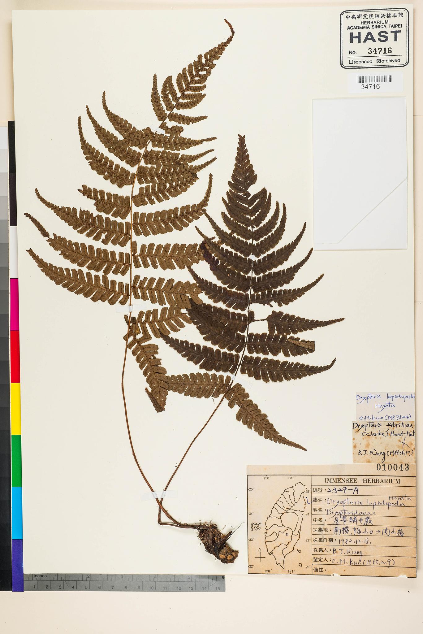 Sample image for viewer