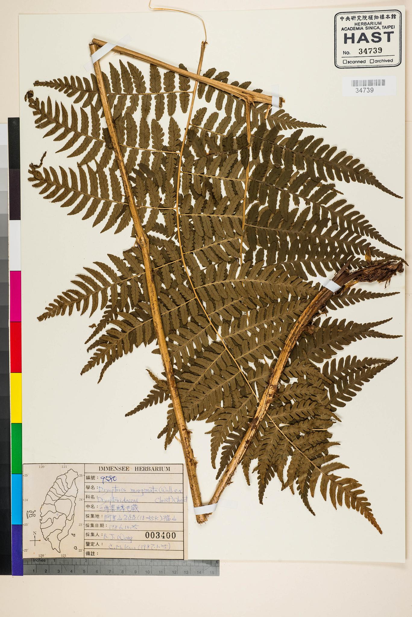 Sample image for viewer