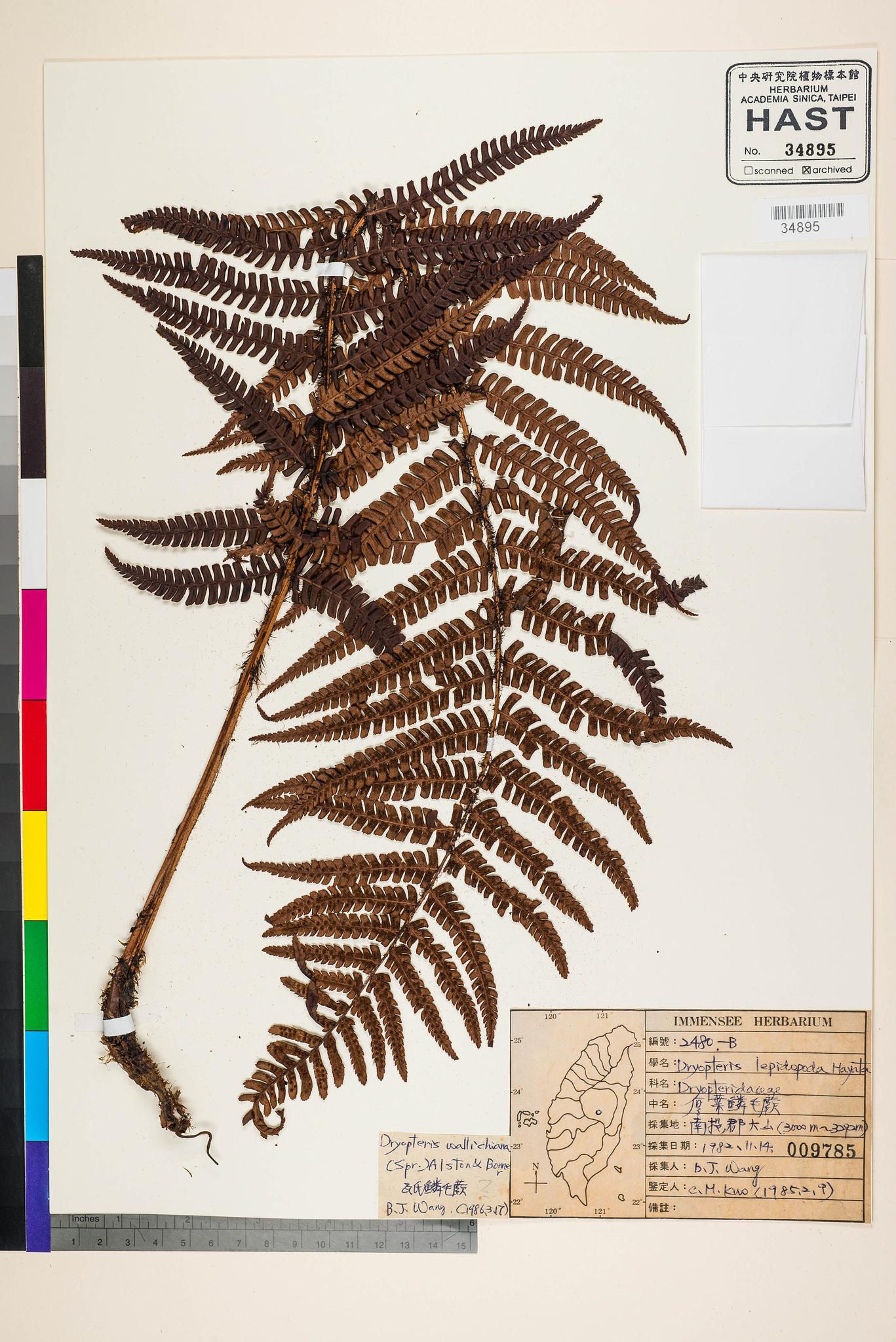 Sample image for viewer