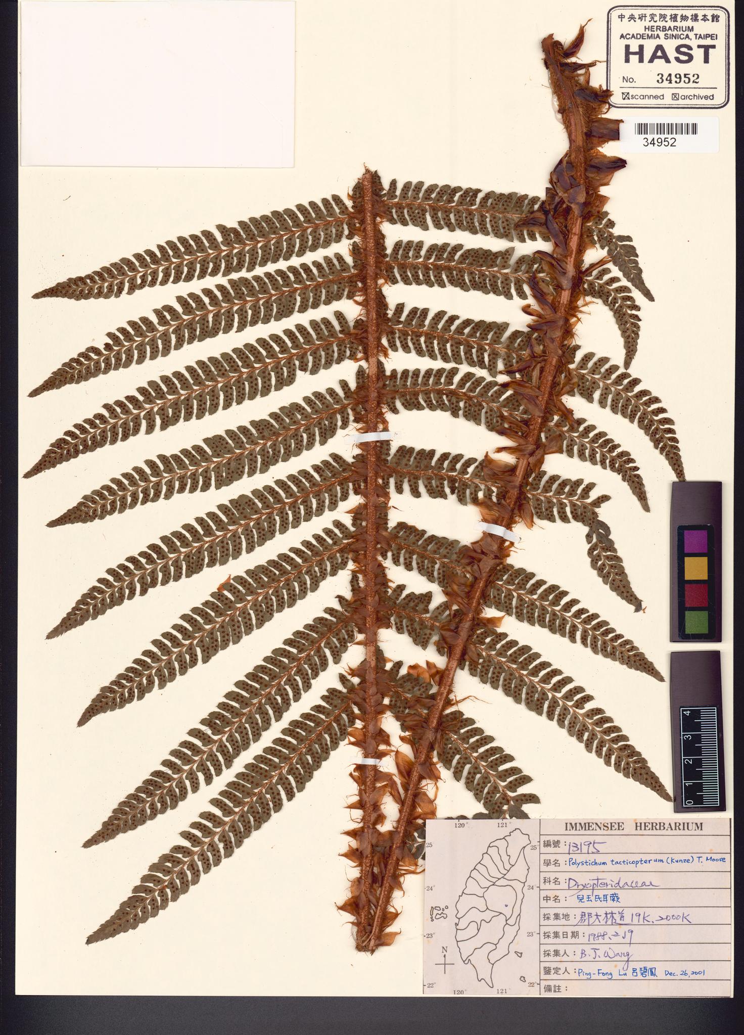 Sample image for viewer