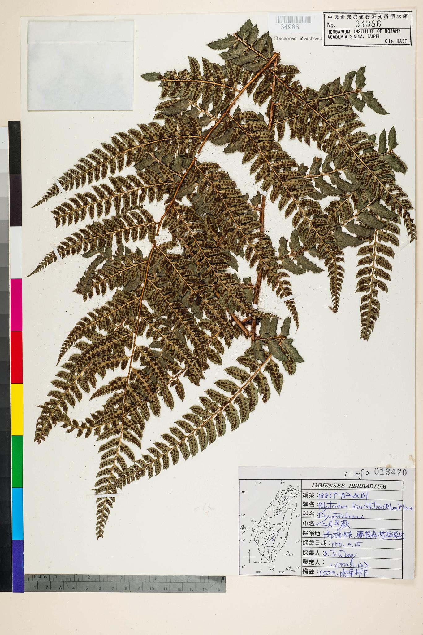 Sample image for viewer