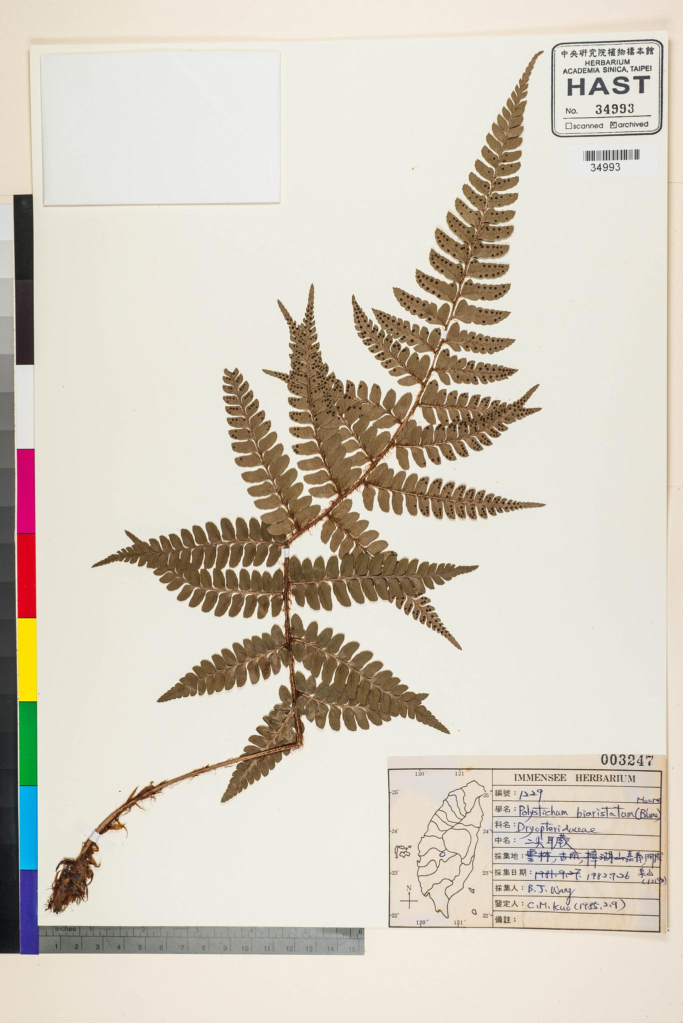 Sample image for viewer