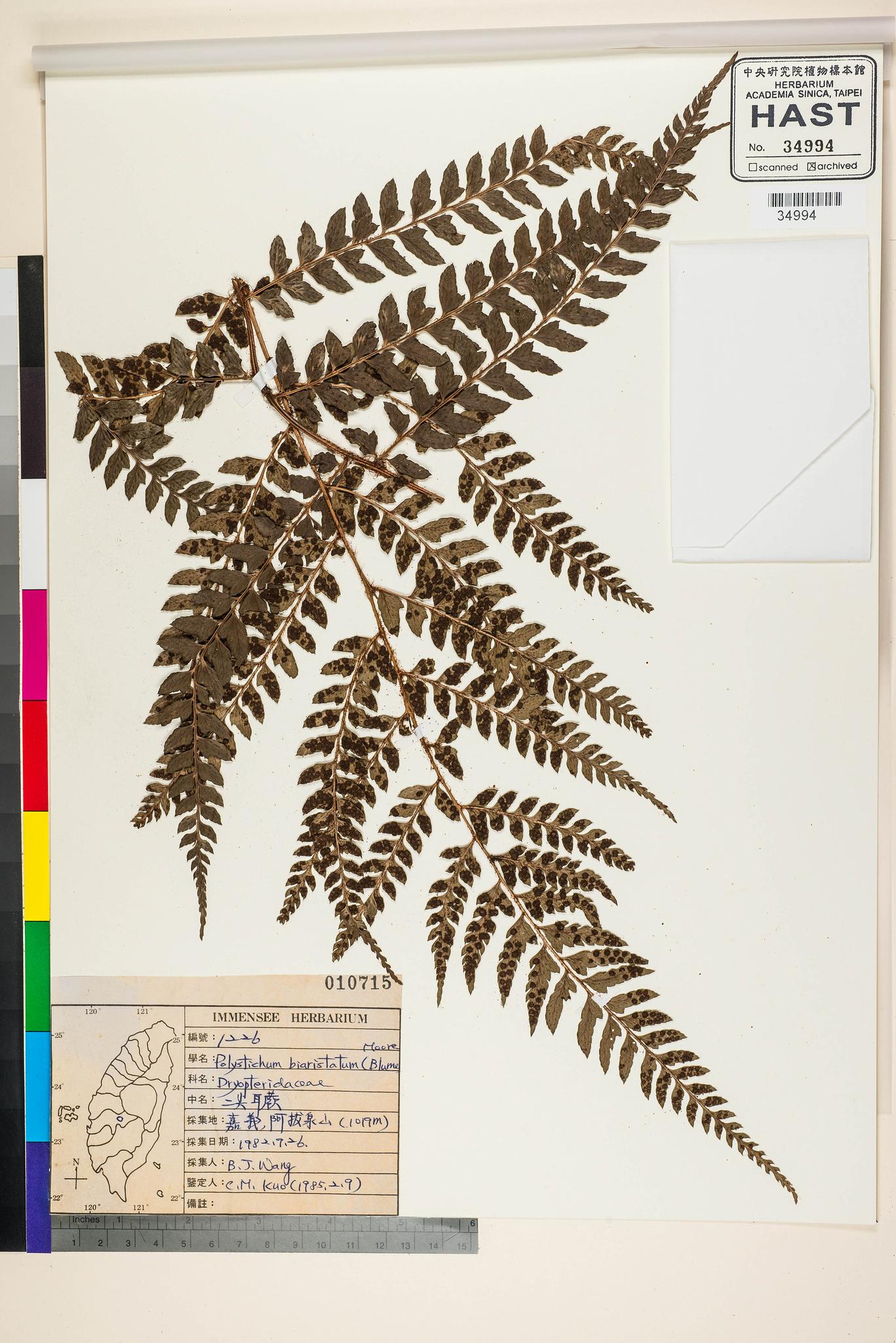 Sample image for viewer