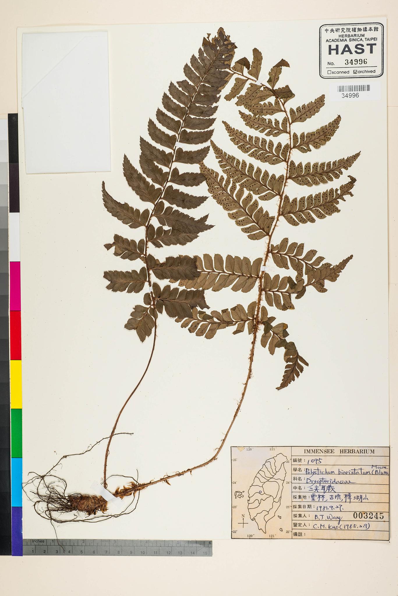 Sample image for viewer