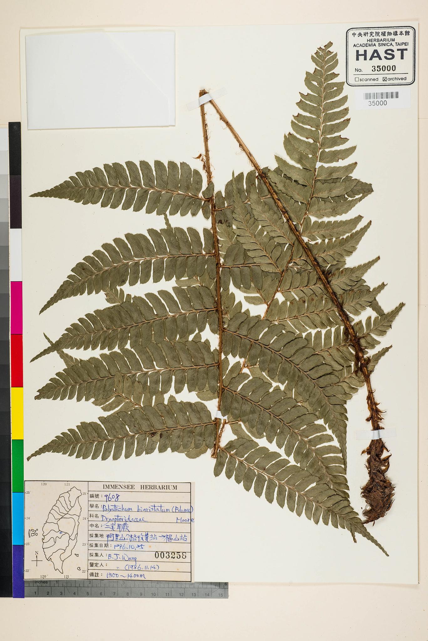 Sample image for viewer