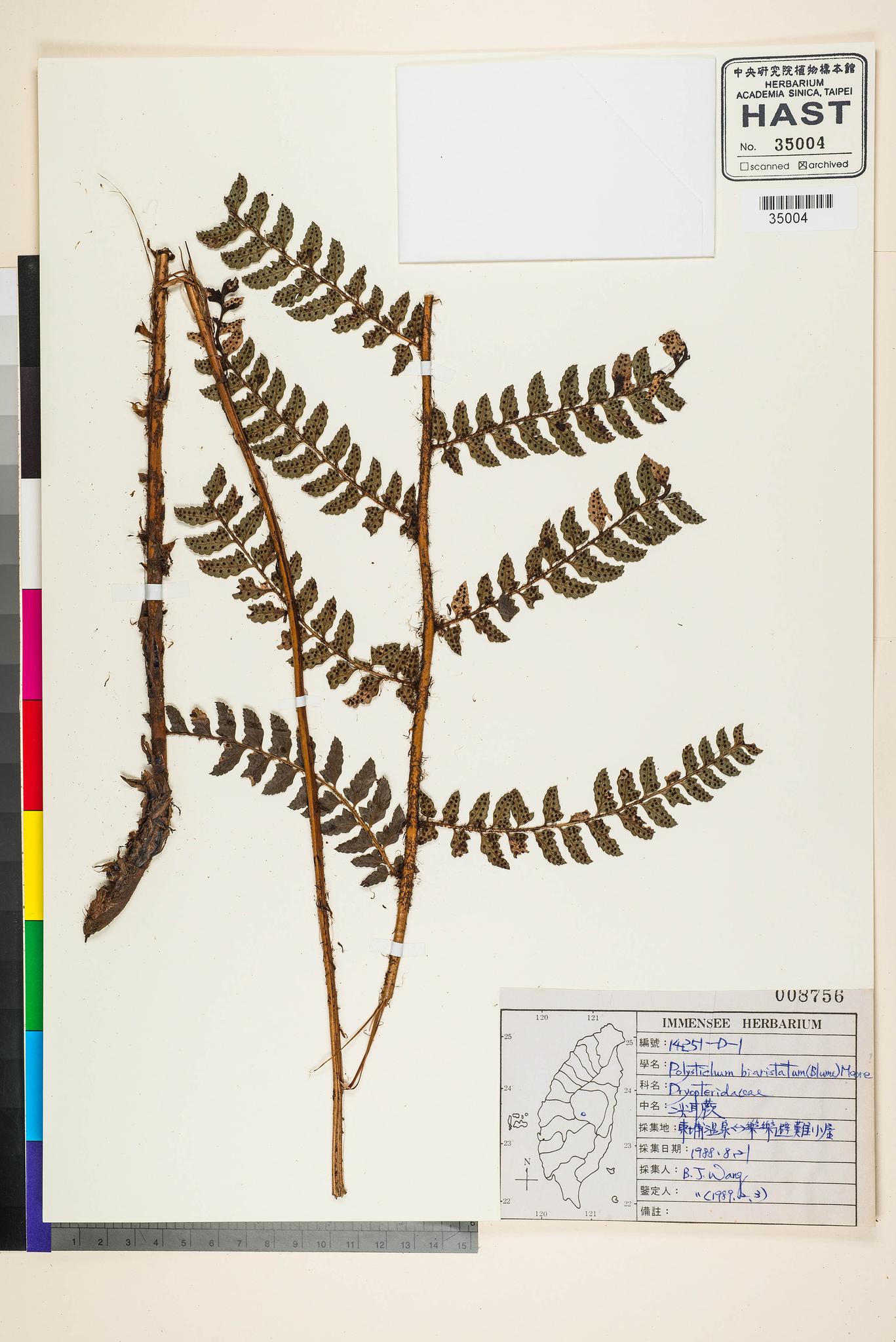 Sample image for viewer