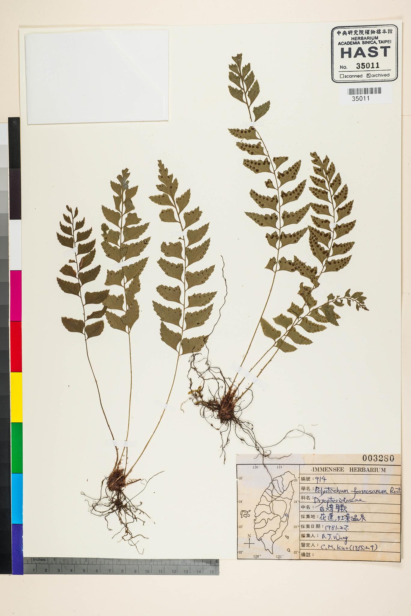 Sample image for viewer