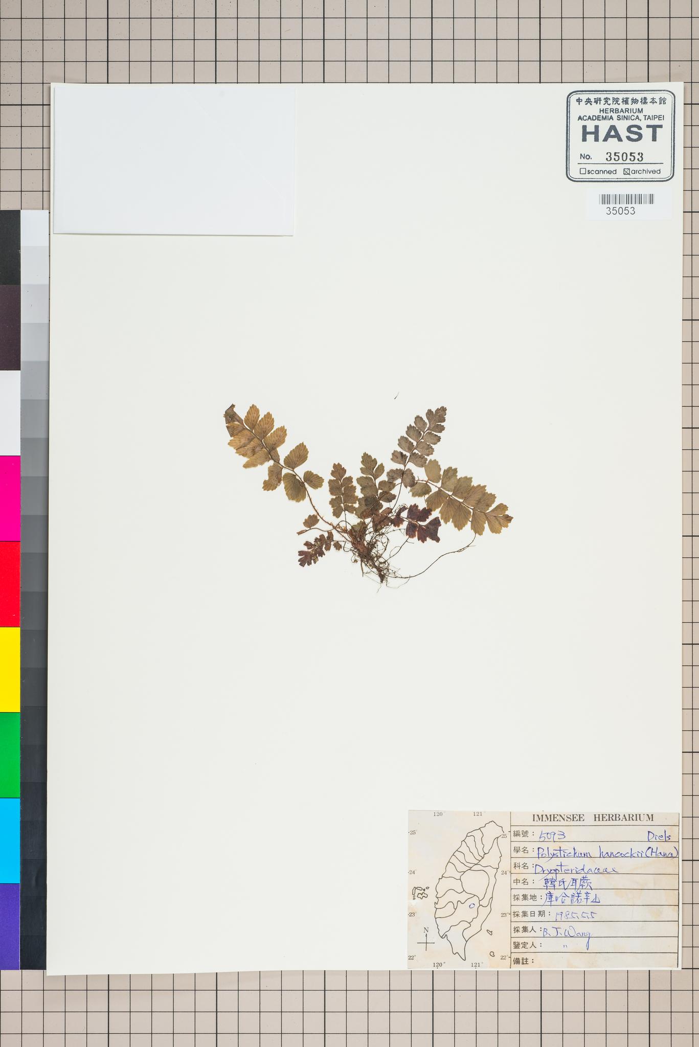 Sample image for viewer