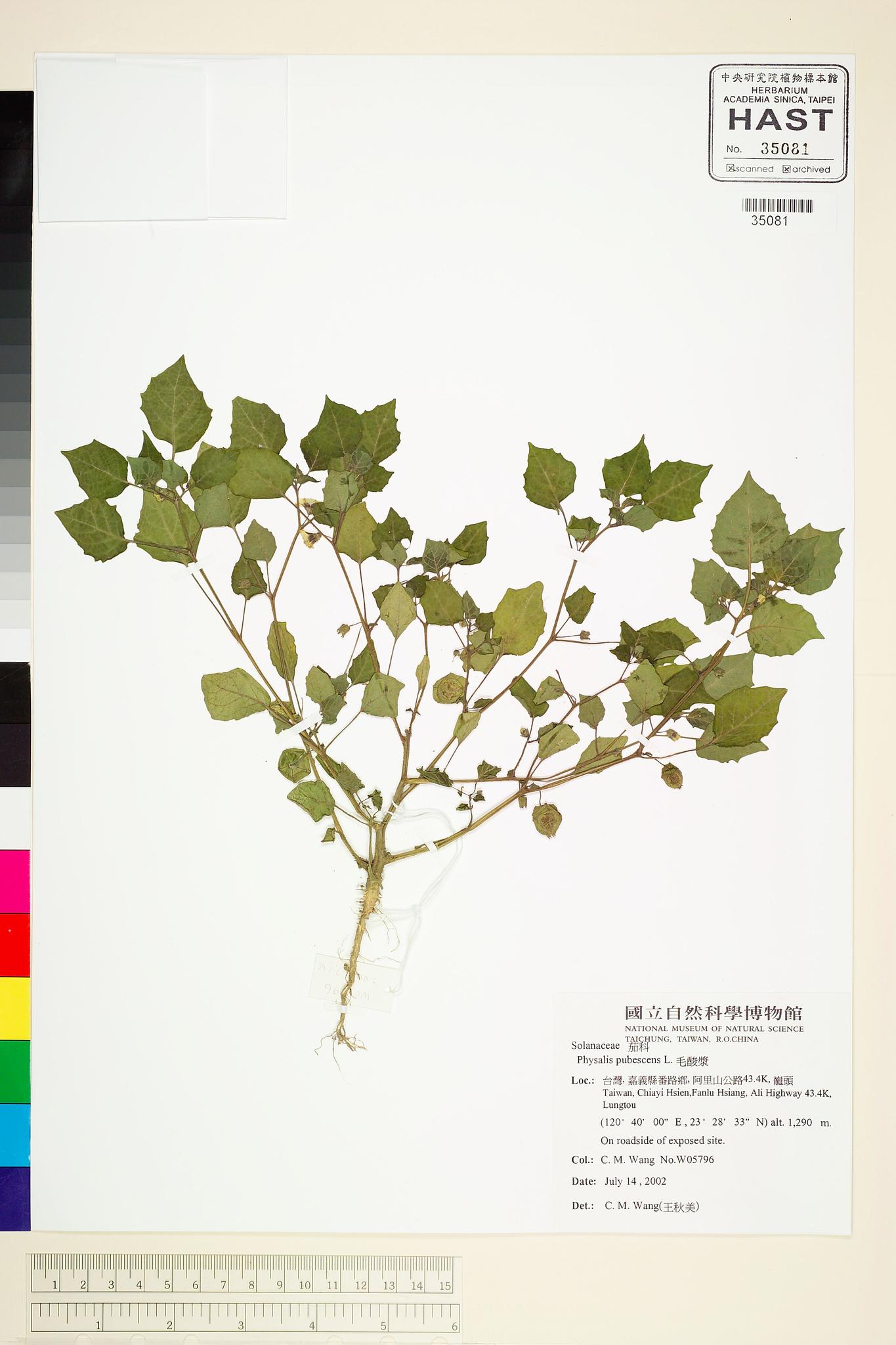 Sample image for viewer