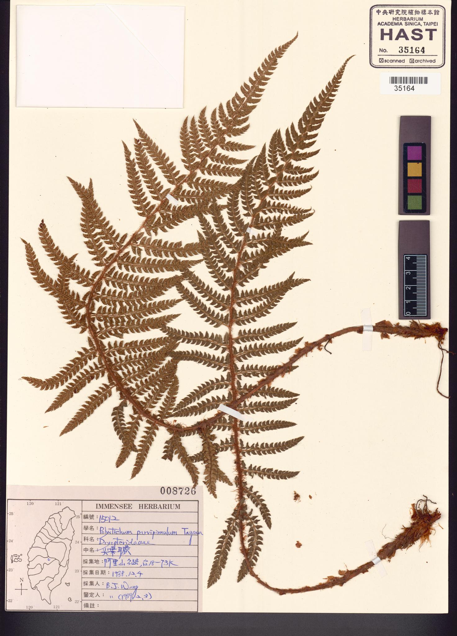 Sample image for viewer