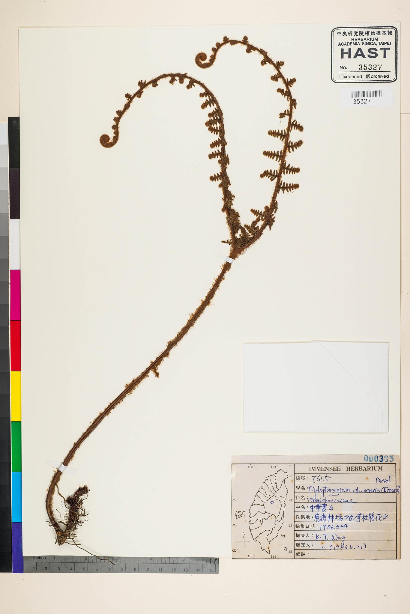 Sample image for viewer