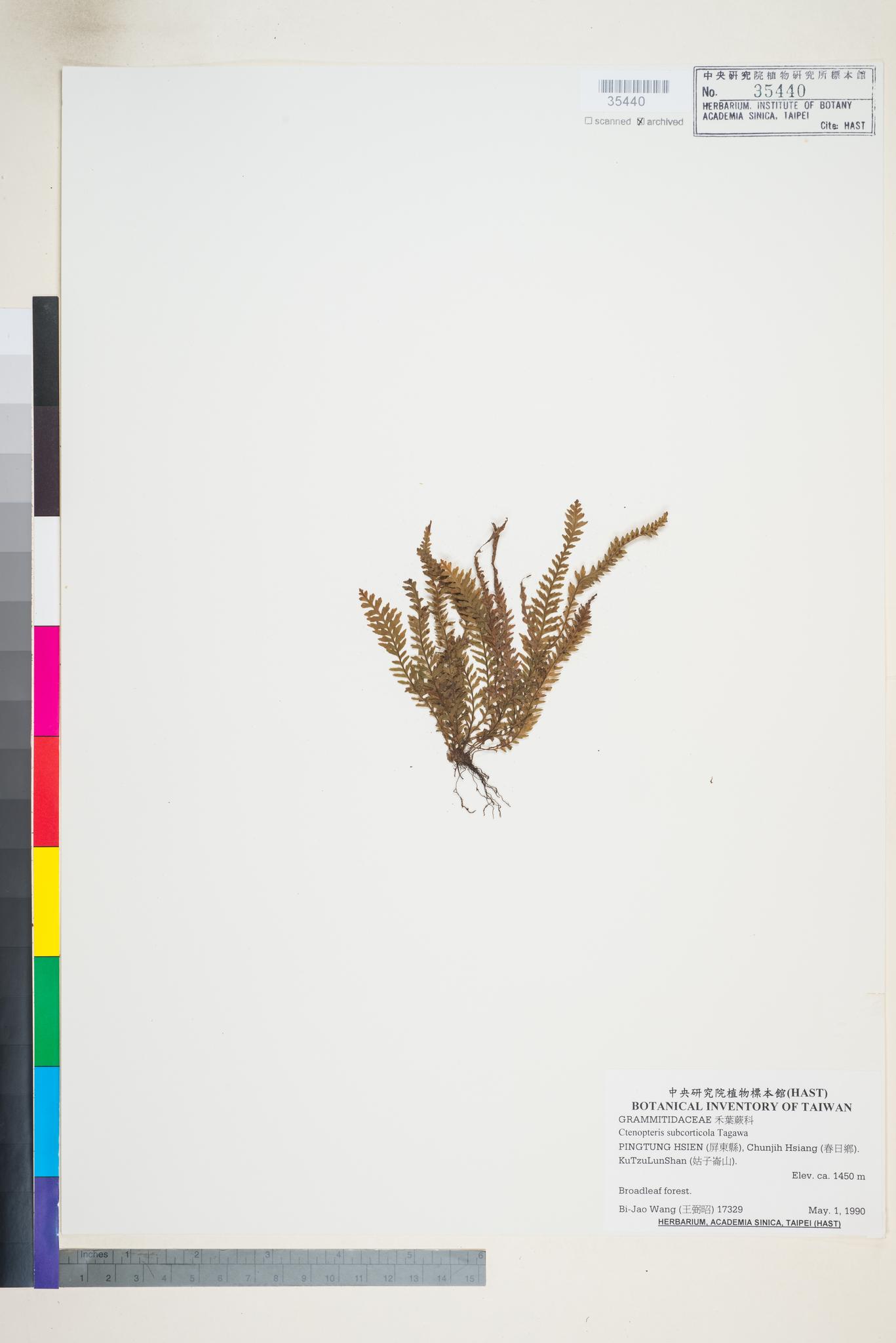 Specimen image