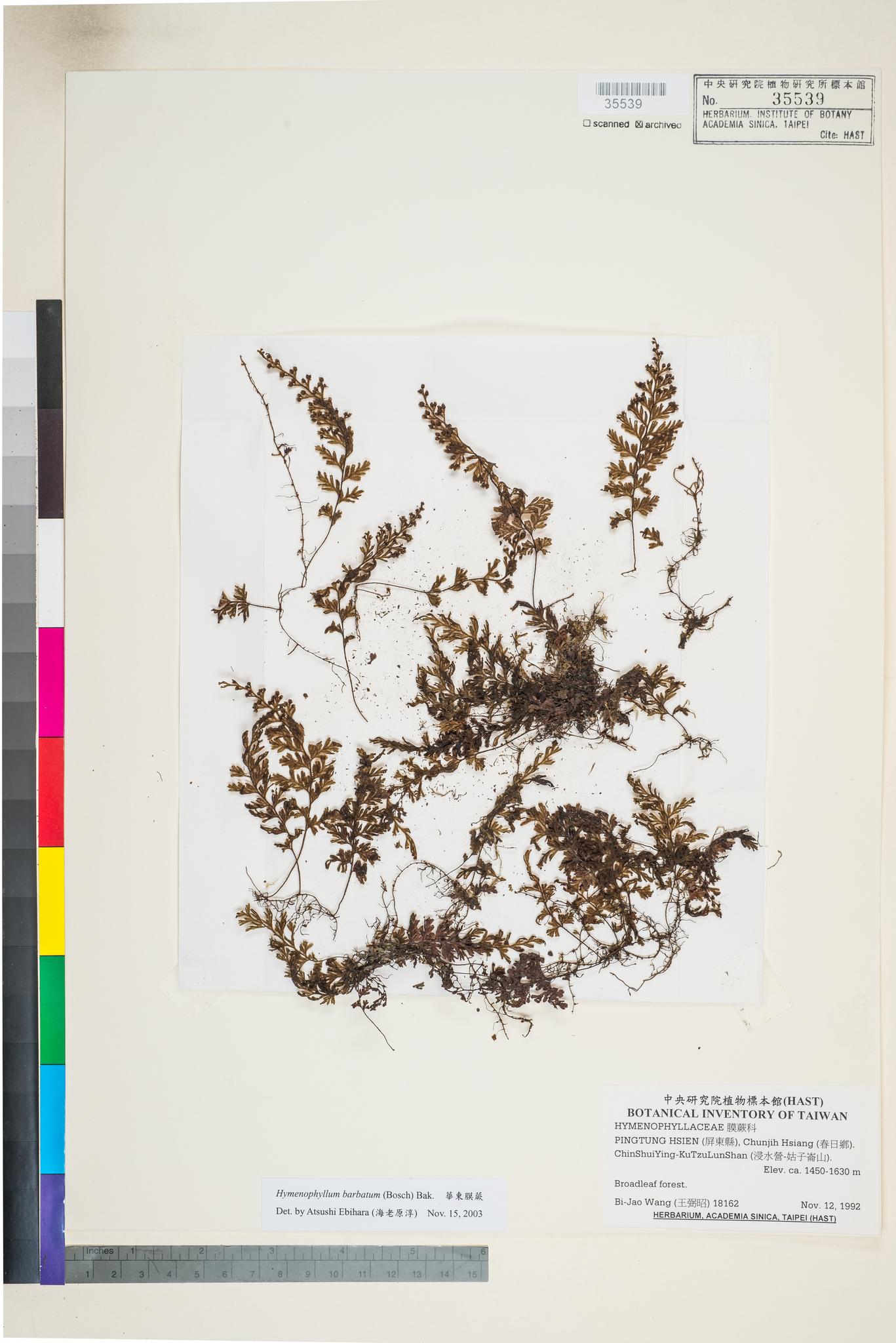 Sample image for viewer