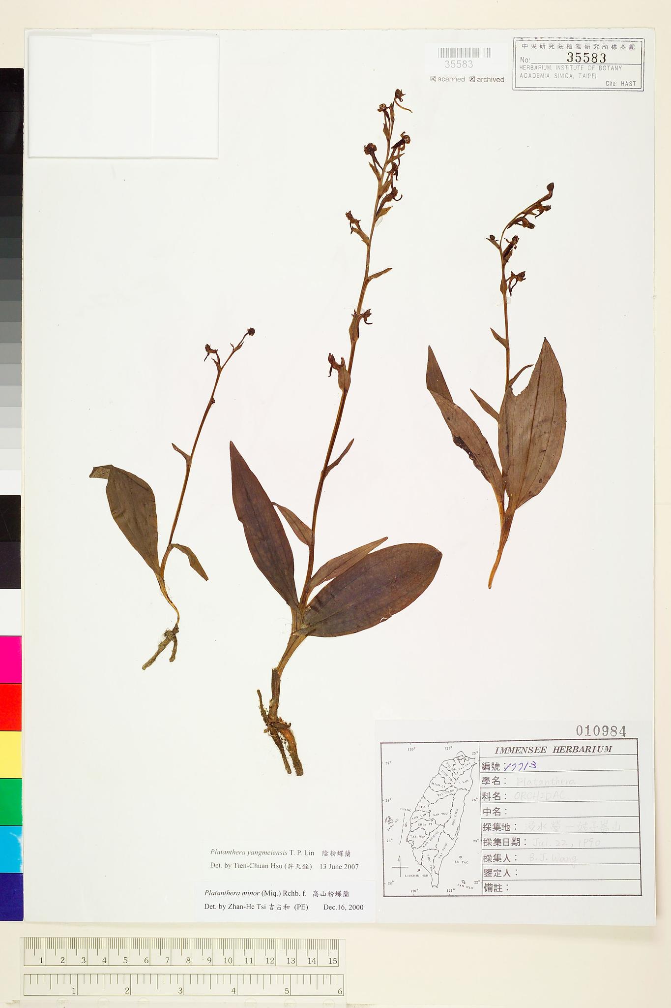 Sample image for viewer