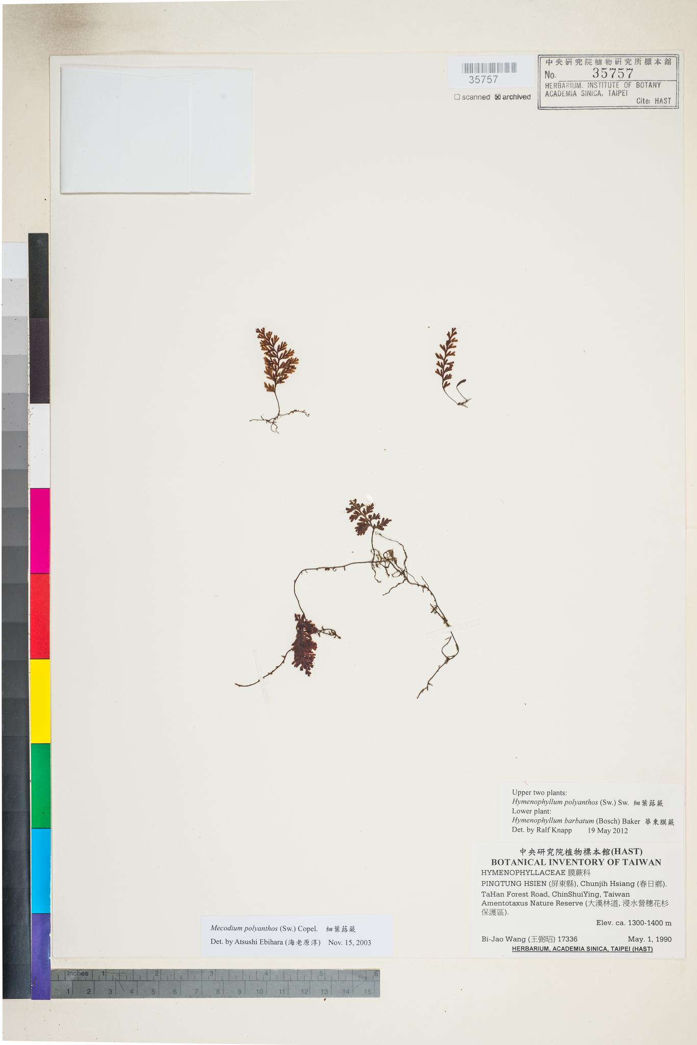 Sample image for viewer