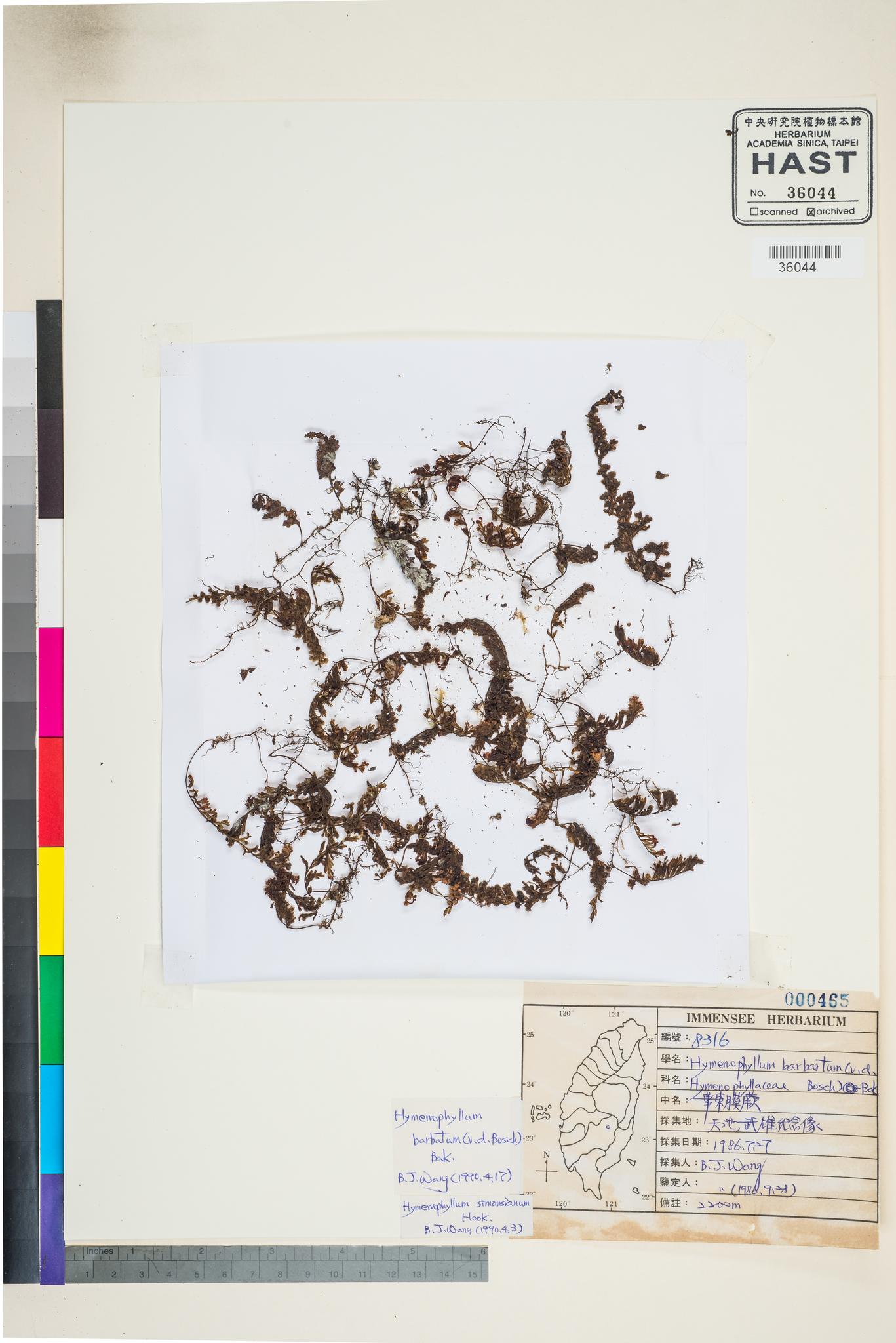 Sample image for viewer