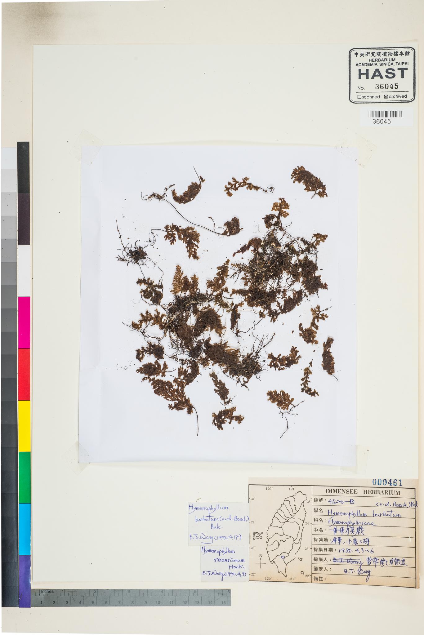 Sample image for viewer