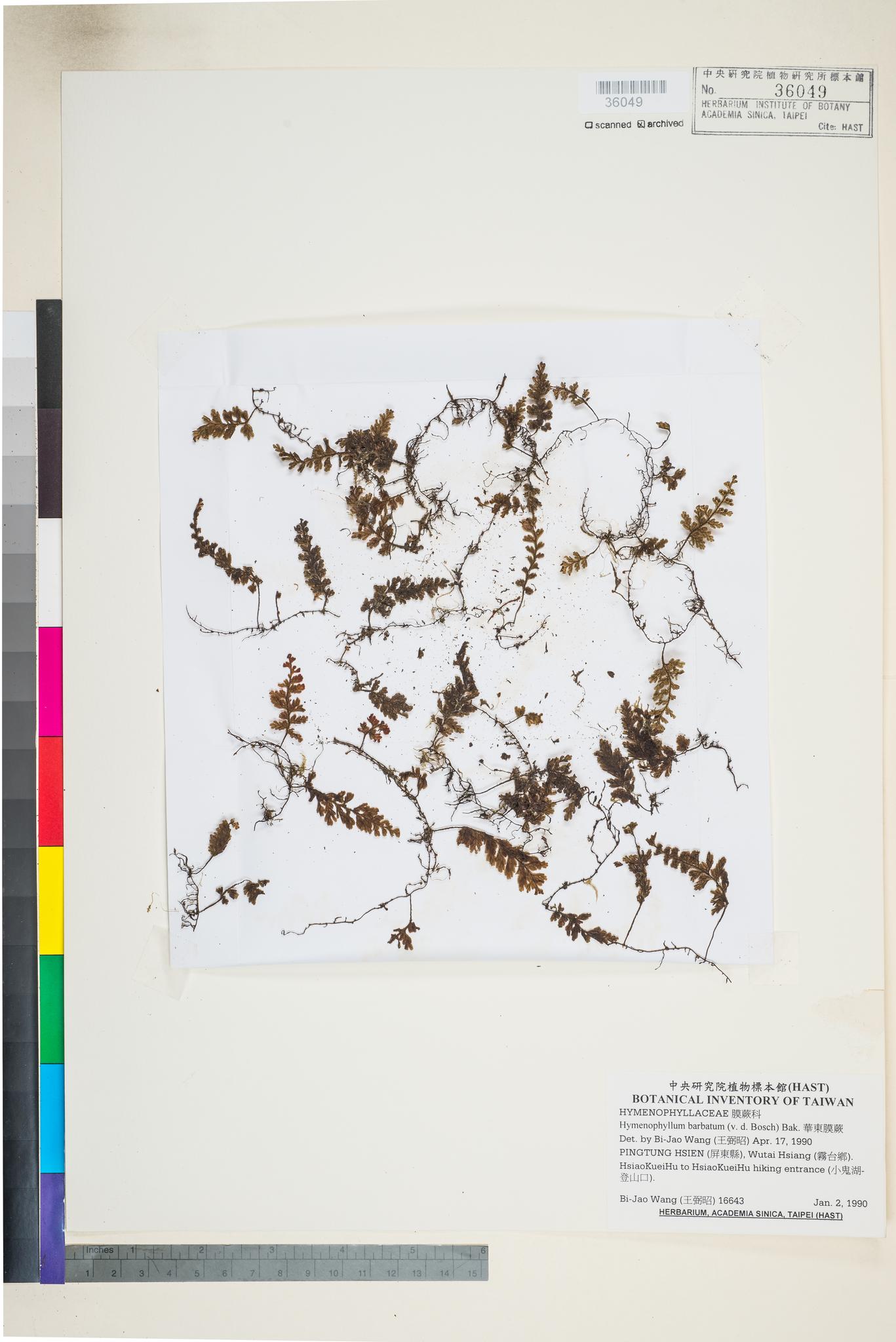 Sample image for viewer