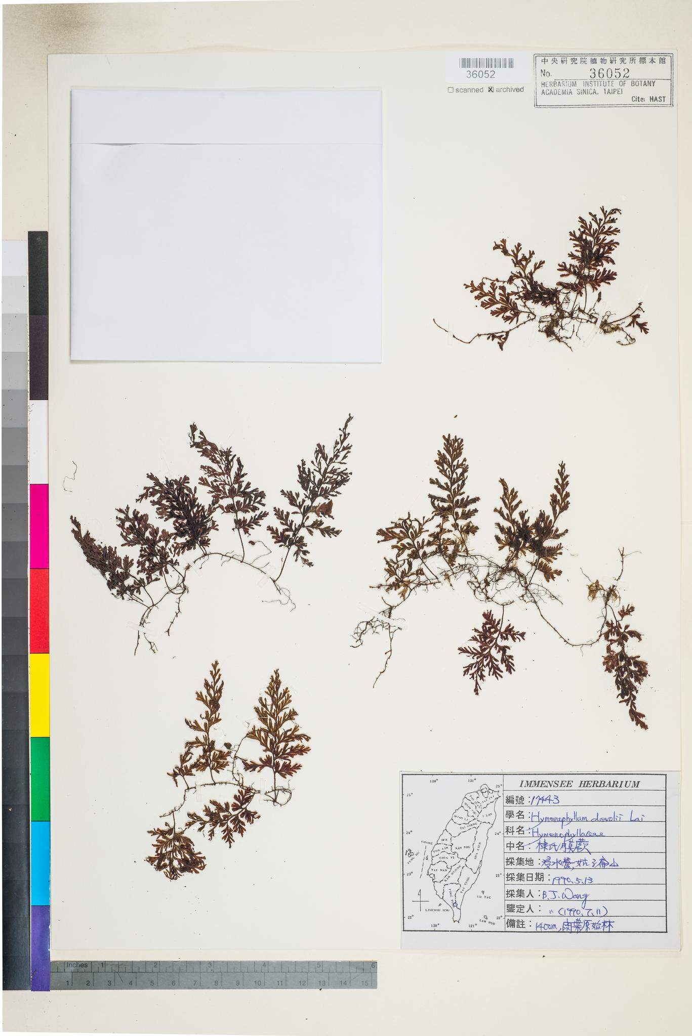 Sample image for viewer