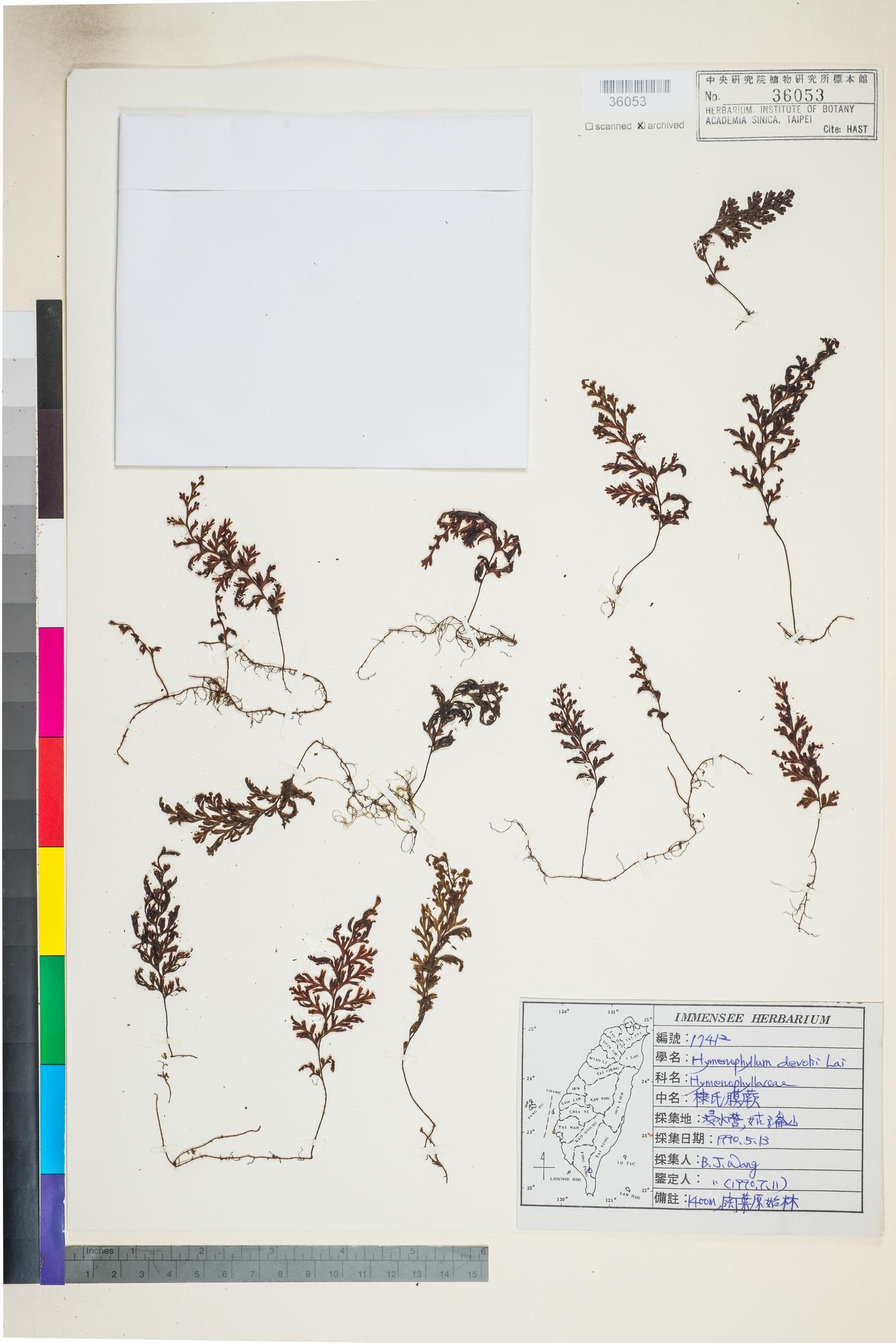 Sample image for viewer