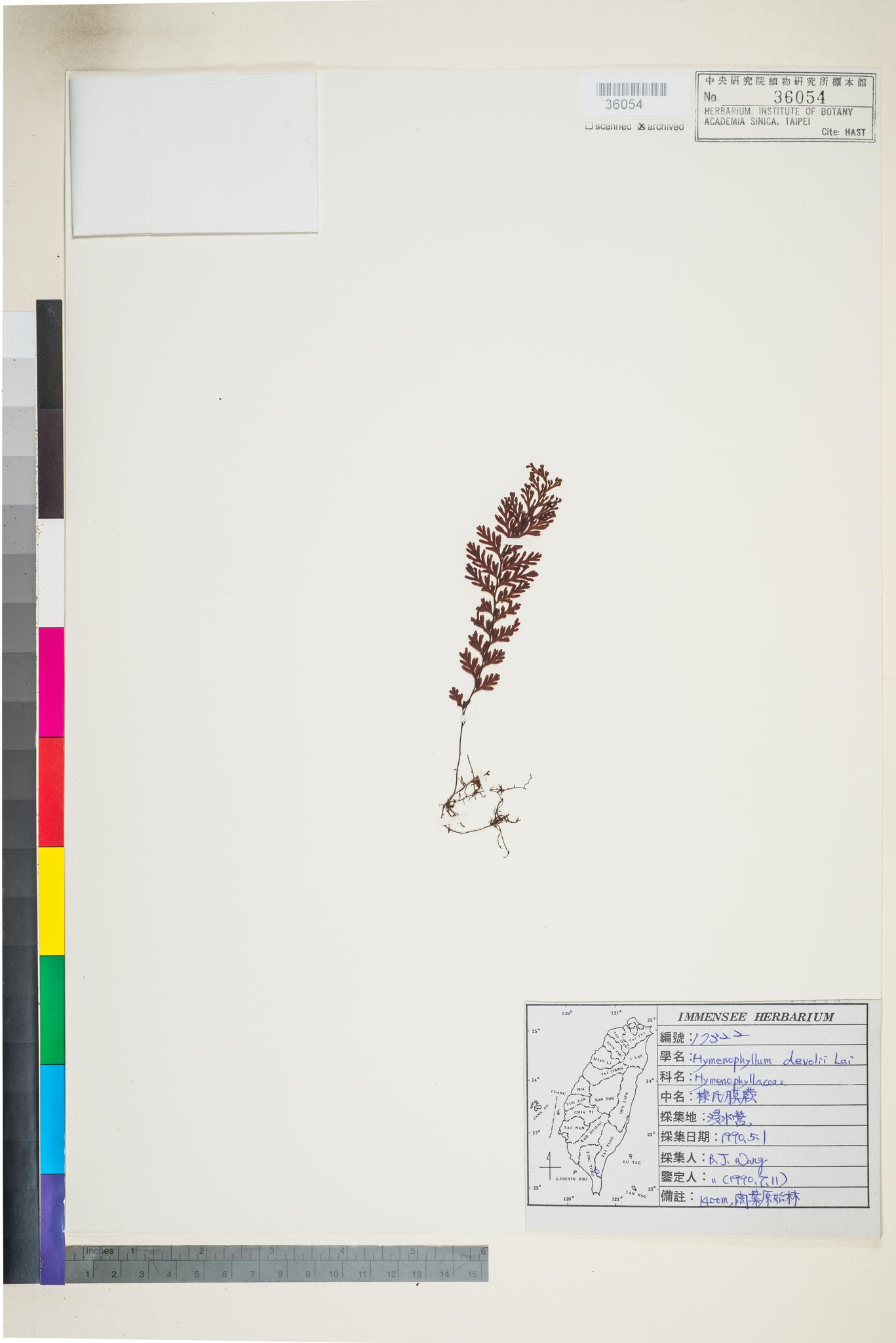 Sample image for viewer