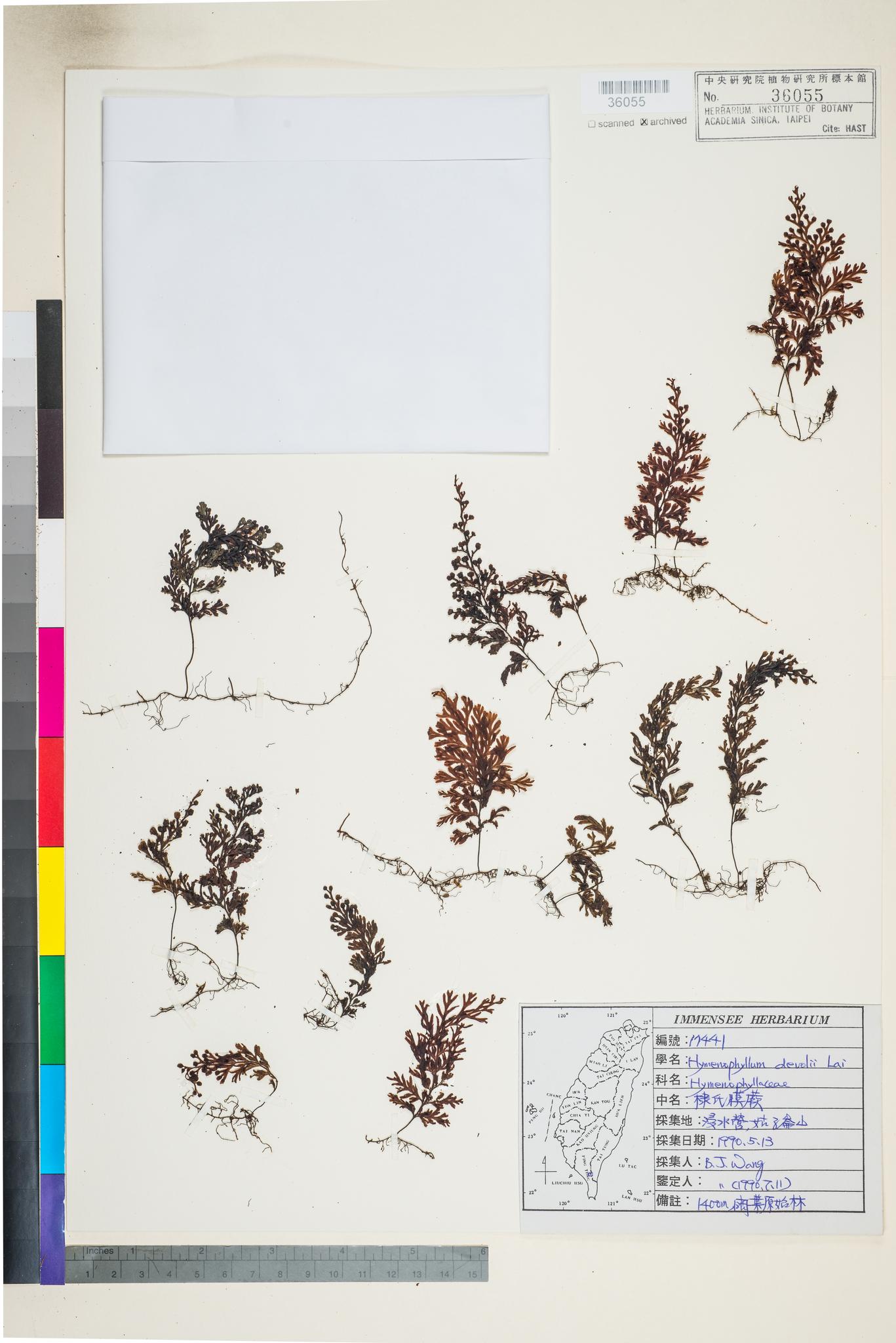 Sample image for viewer