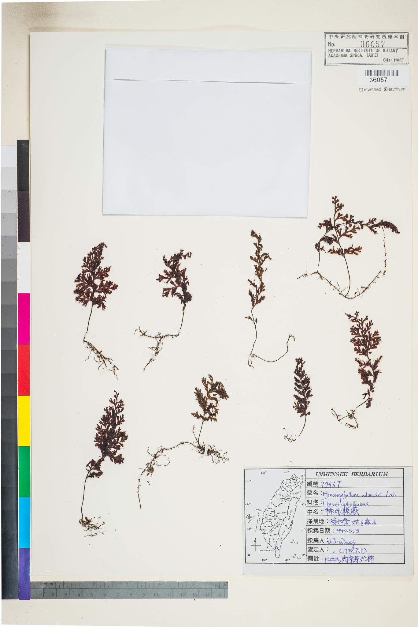 Sample image for viewer