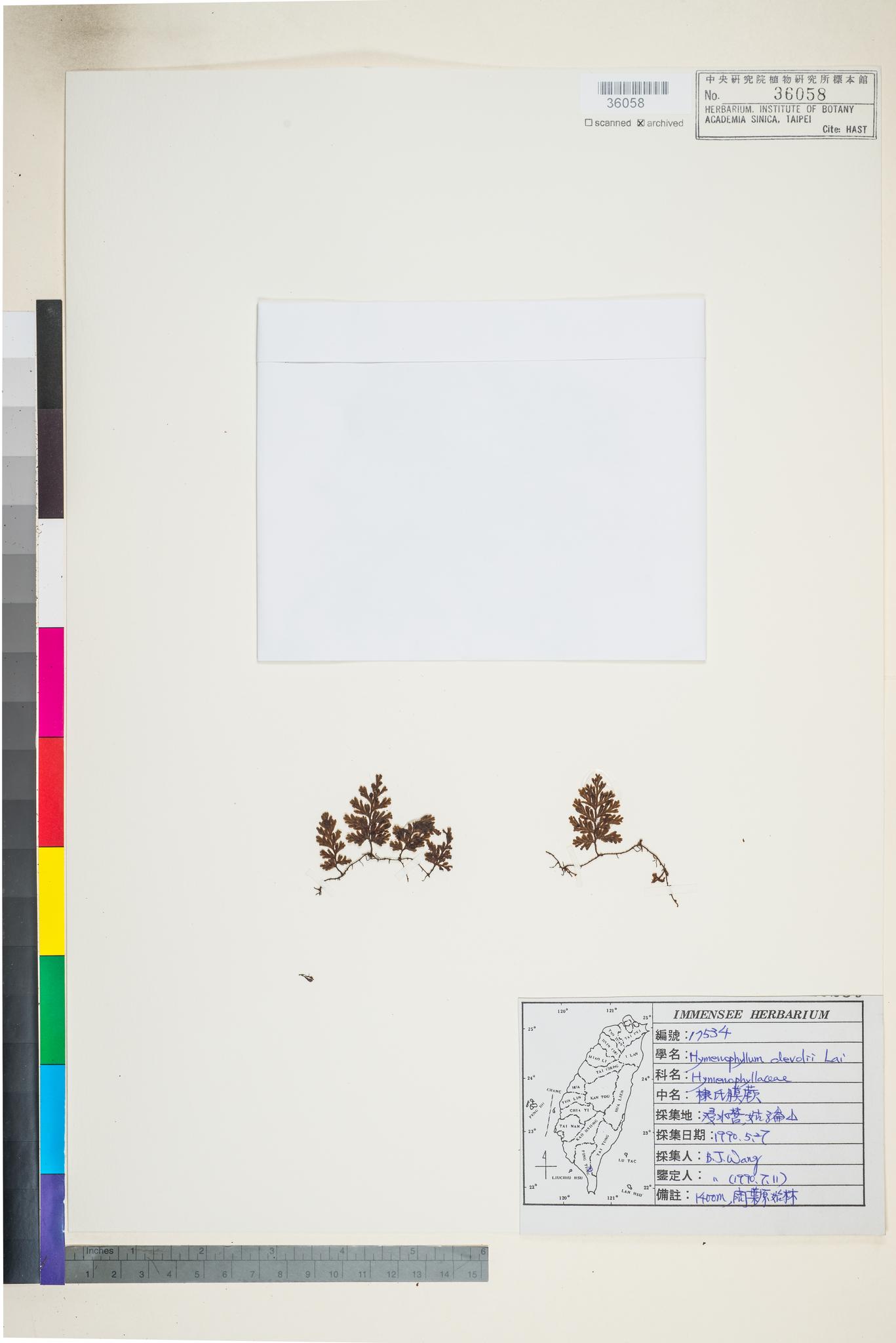 Sample image for viewer