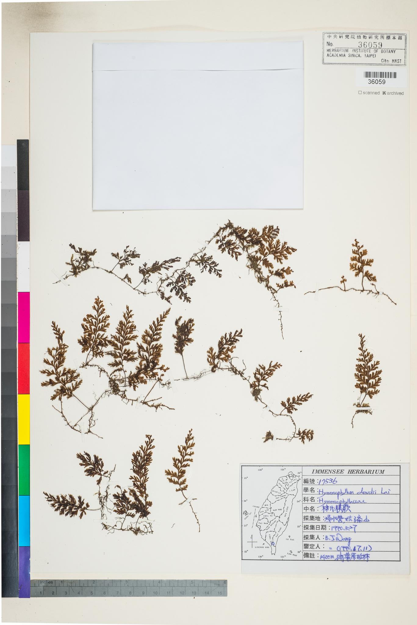 Sample image for viewer