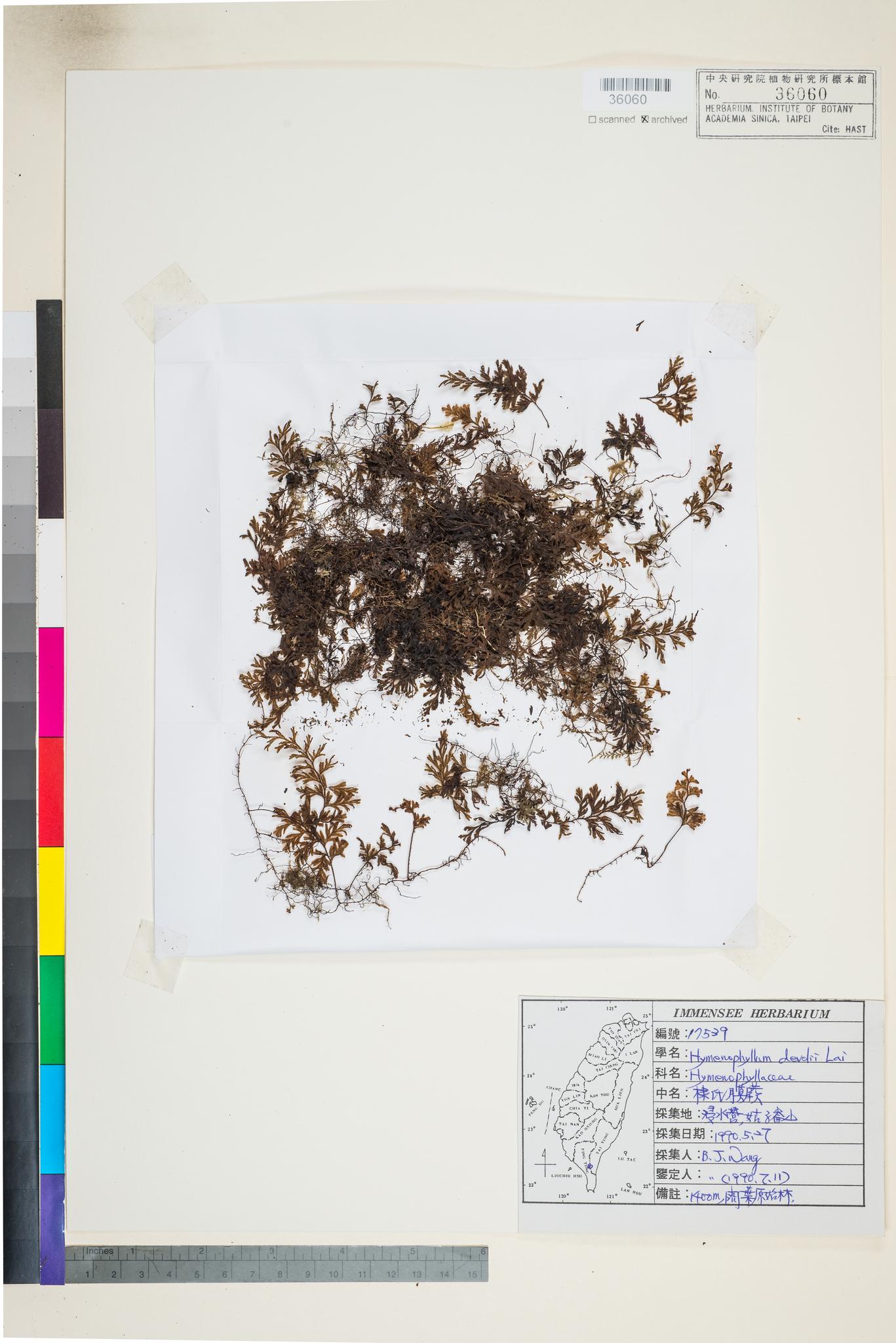 Sample image for viewer