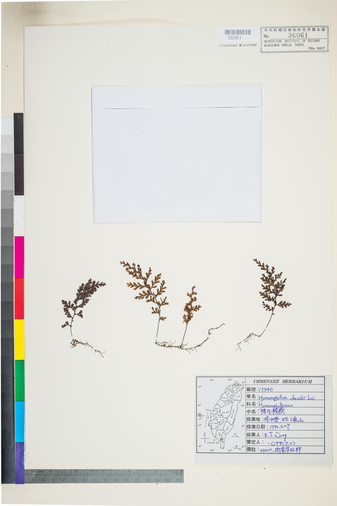 Sample image for viewer