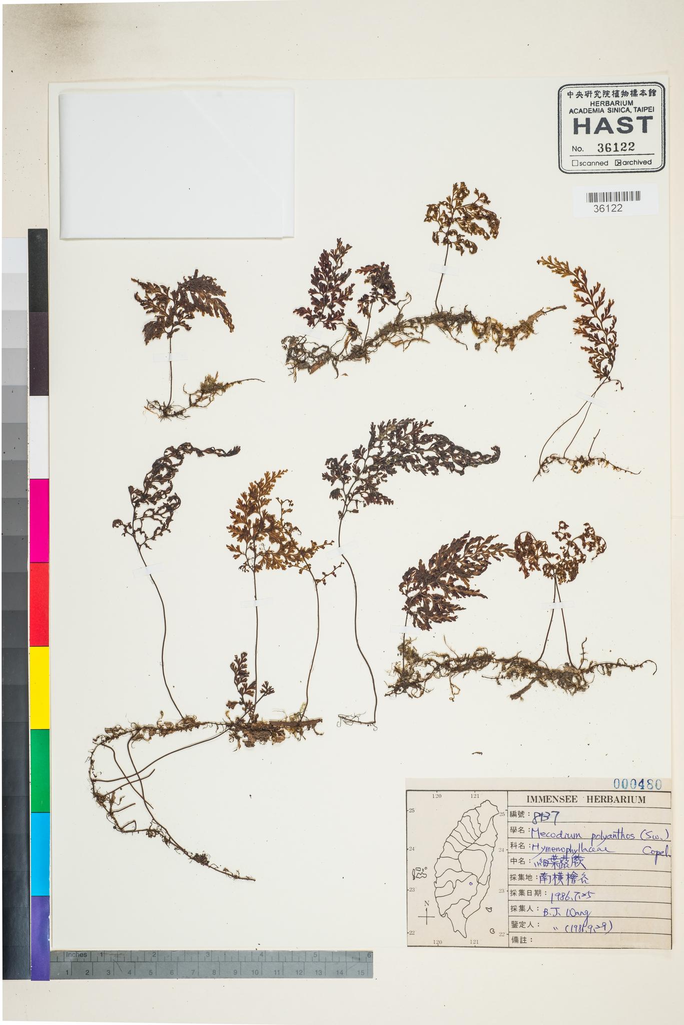 Sample image for viewer