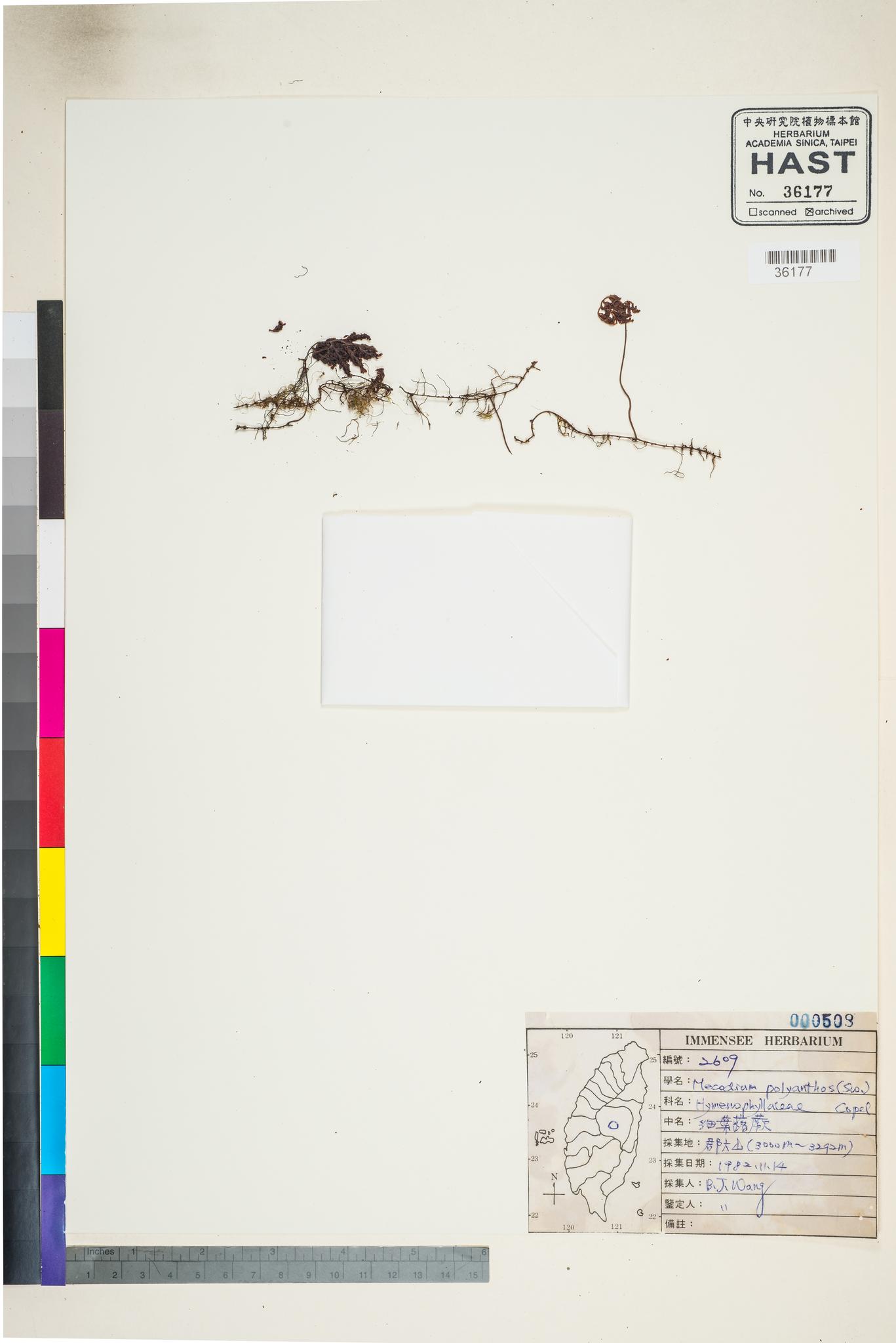 Sample image for viewer