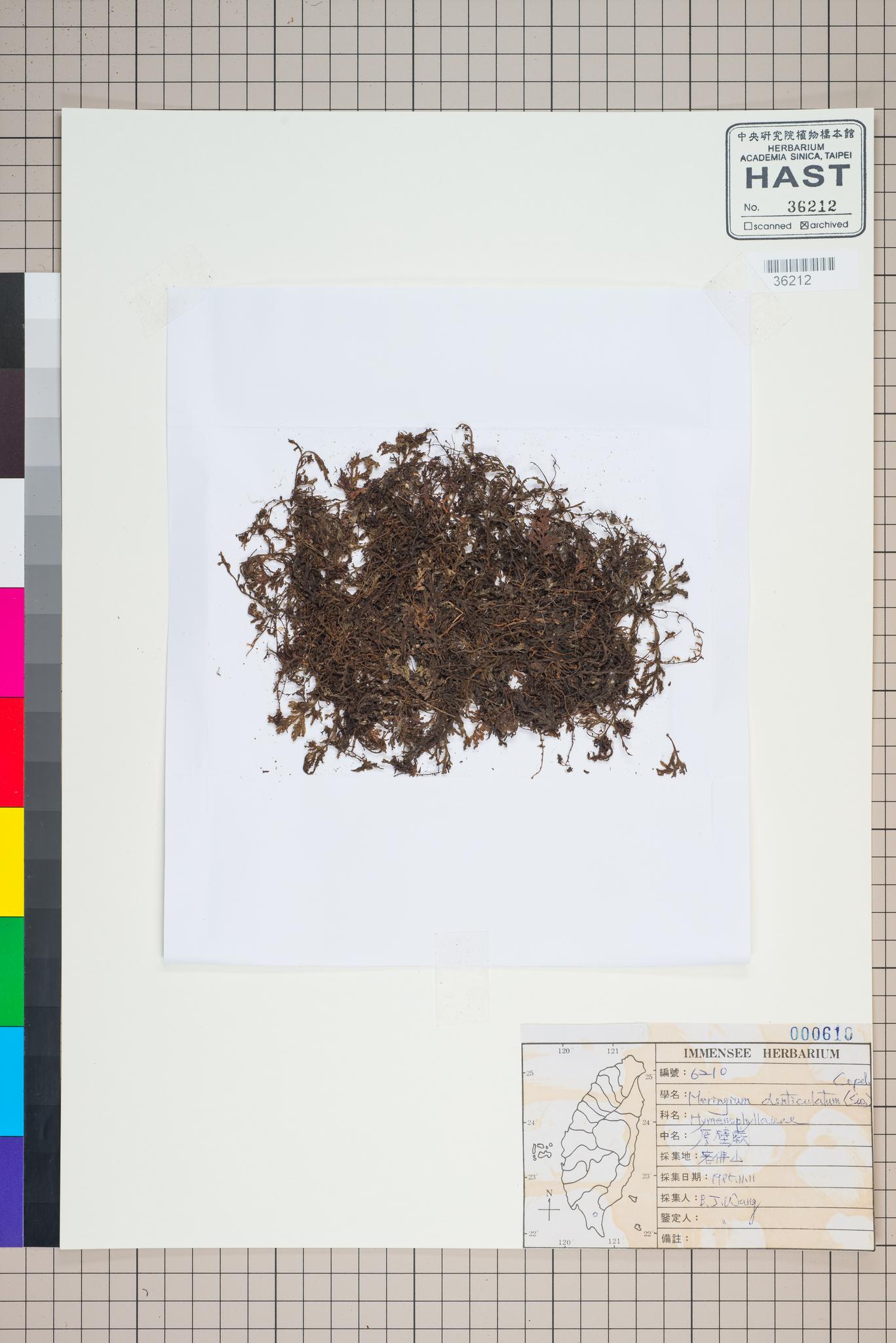 Sample image for viewer