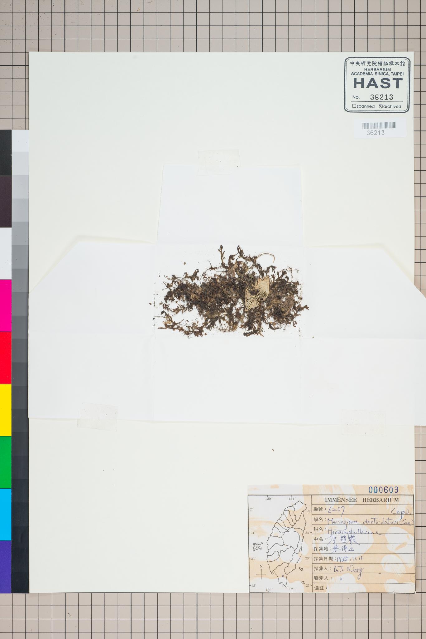 Sample image for viewer