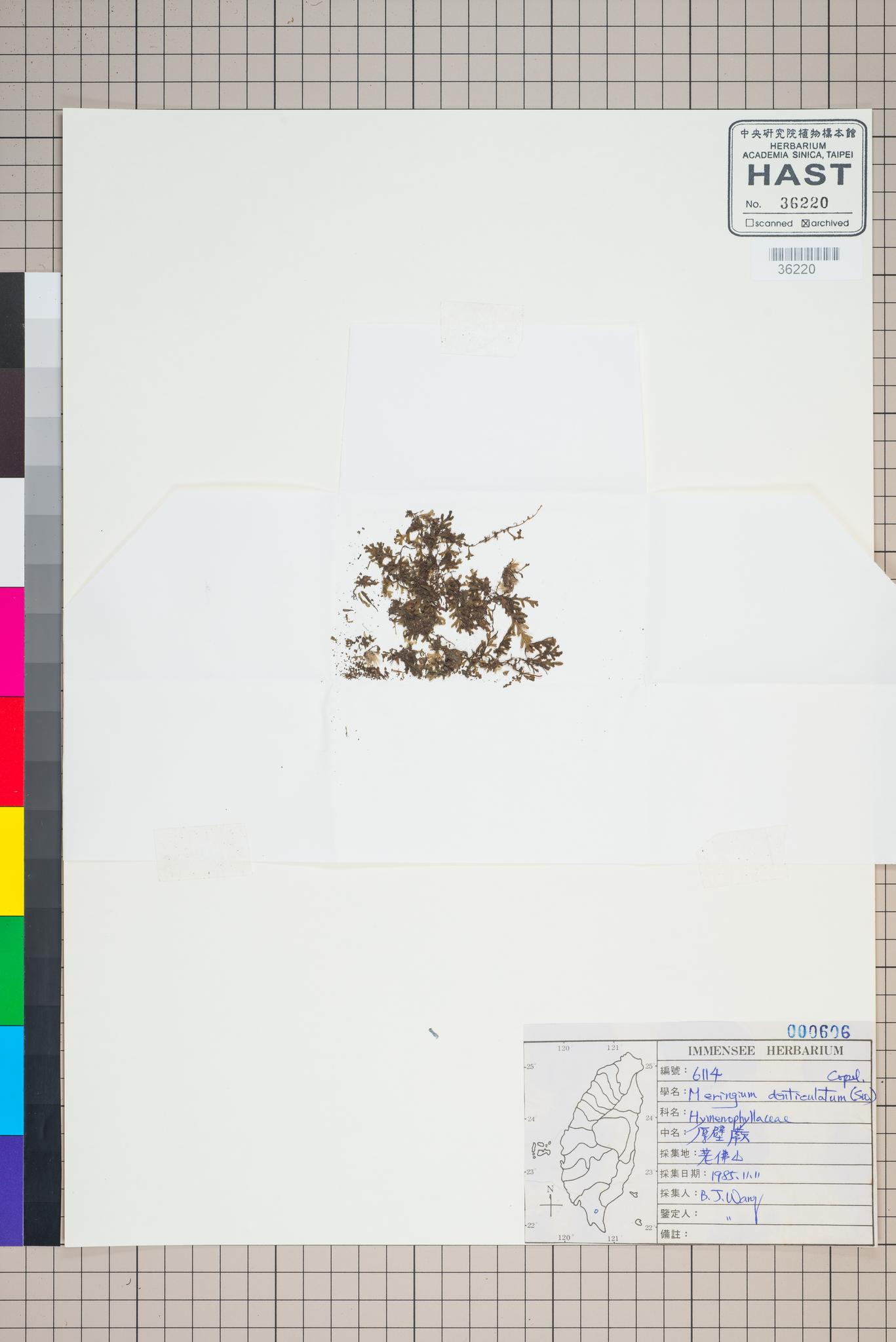 Sample image for viewer