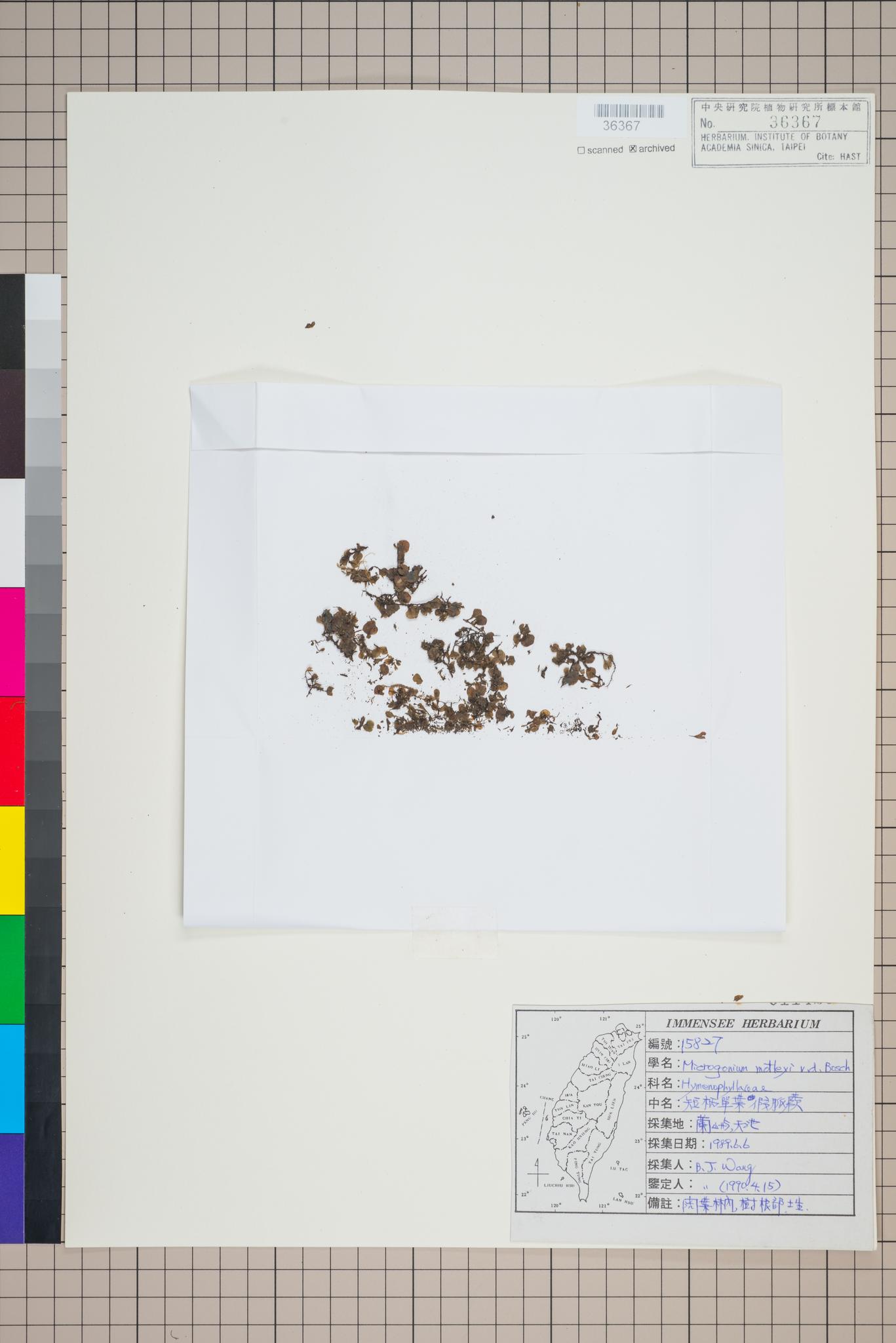 Sample image for viewer