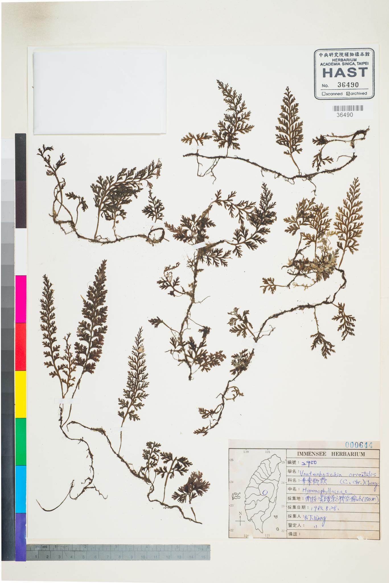 Sample image for viewer