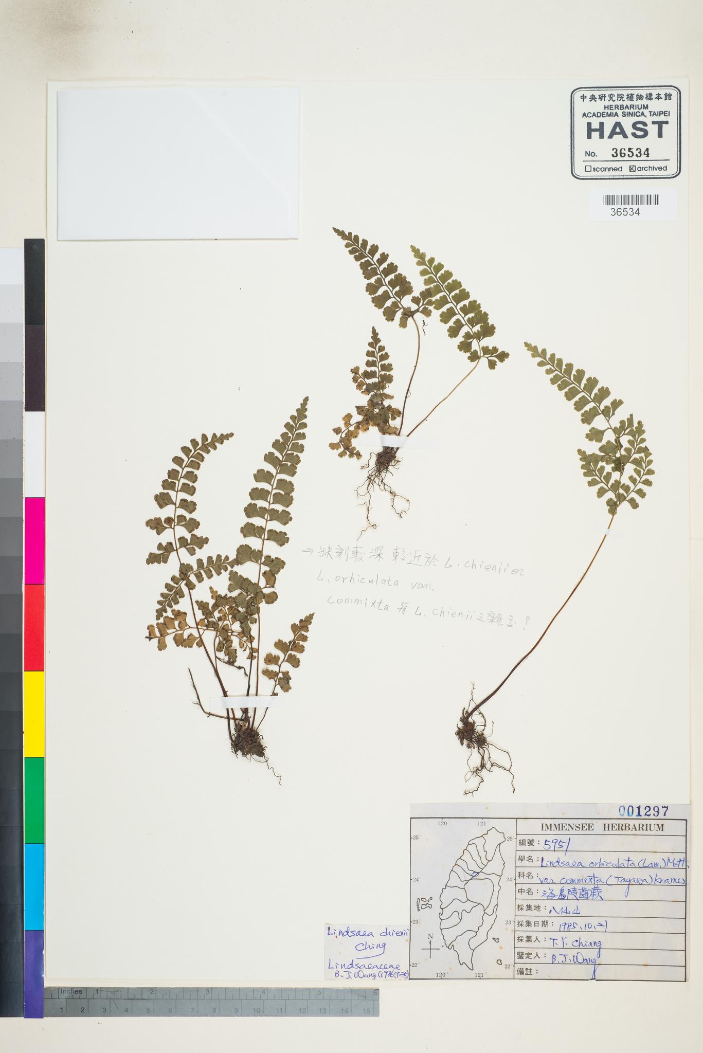 Sample image for viewer