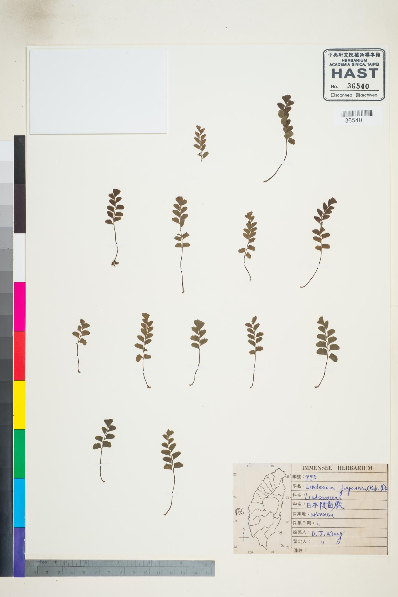 Sample image for viewer