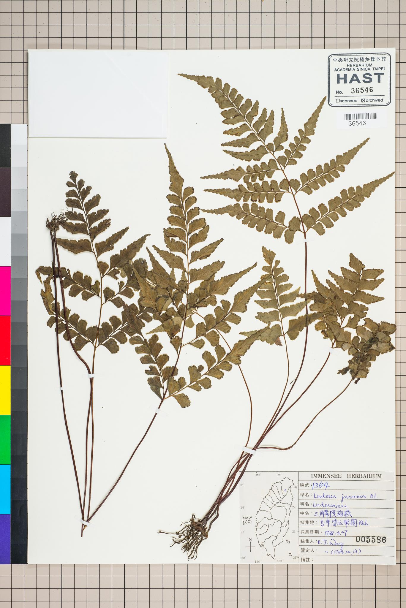 Sample image for viewer