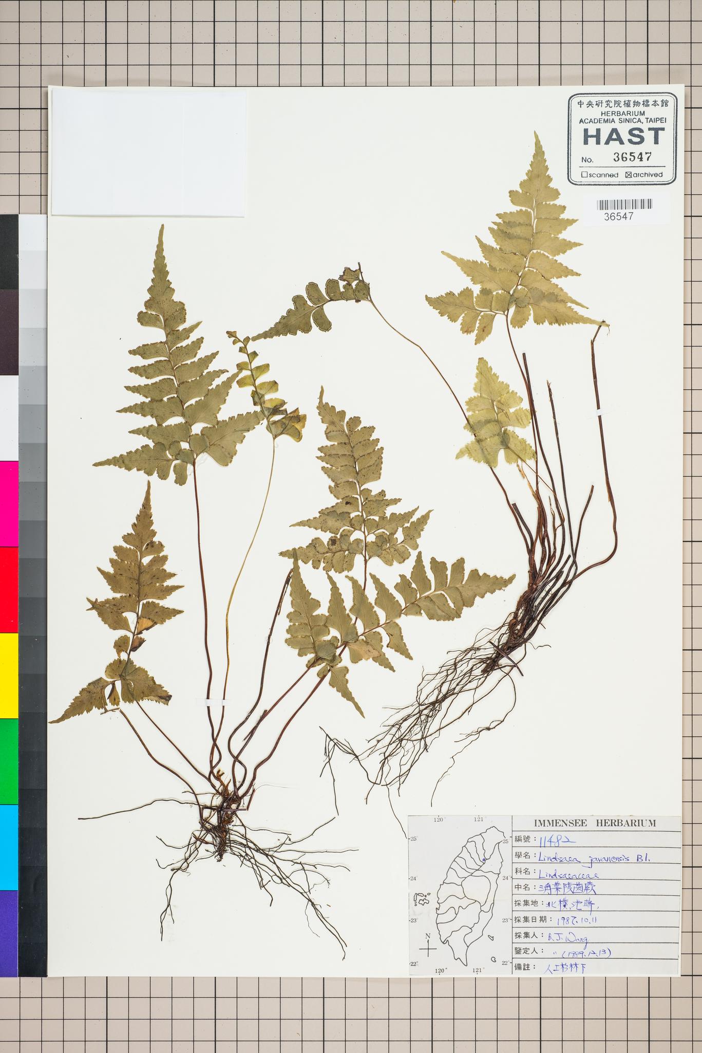 Sample image for viewer