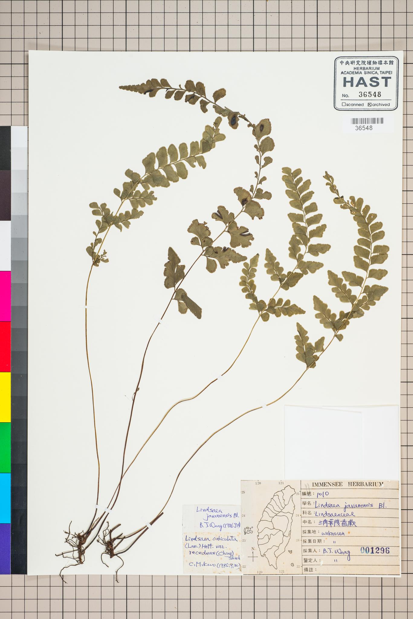 Sample image for viewer