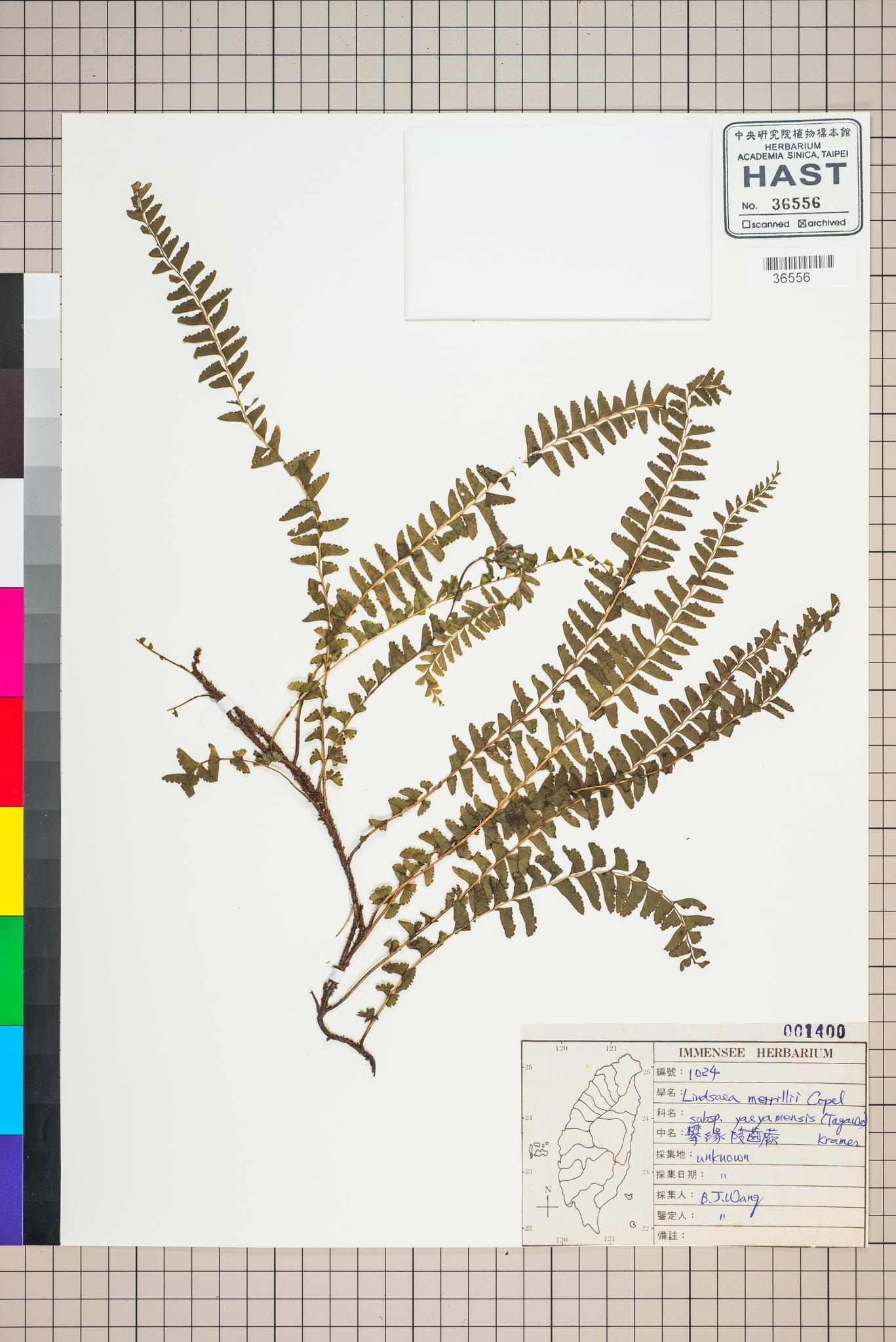 Sample image for viewer