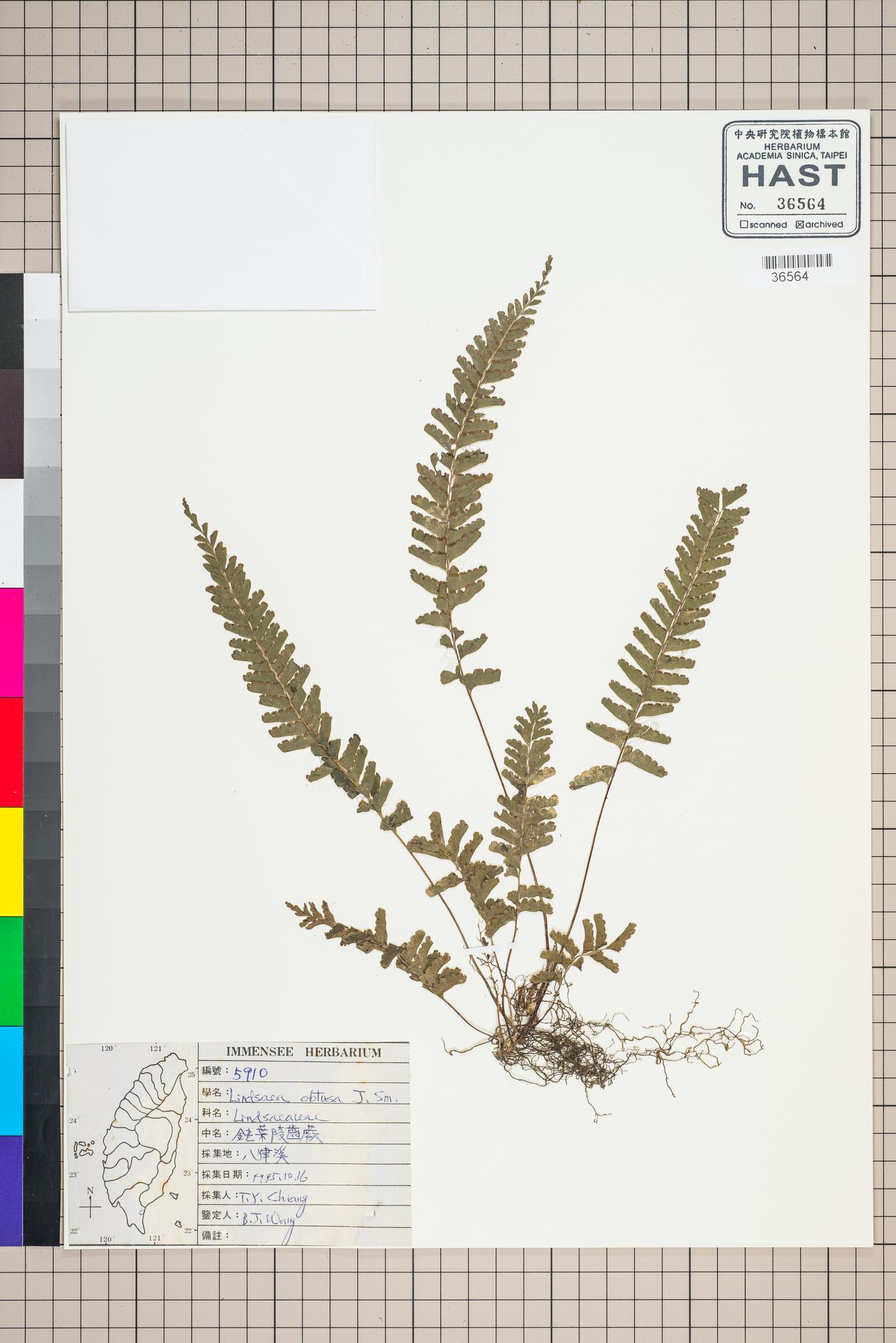 Sample image for viewer