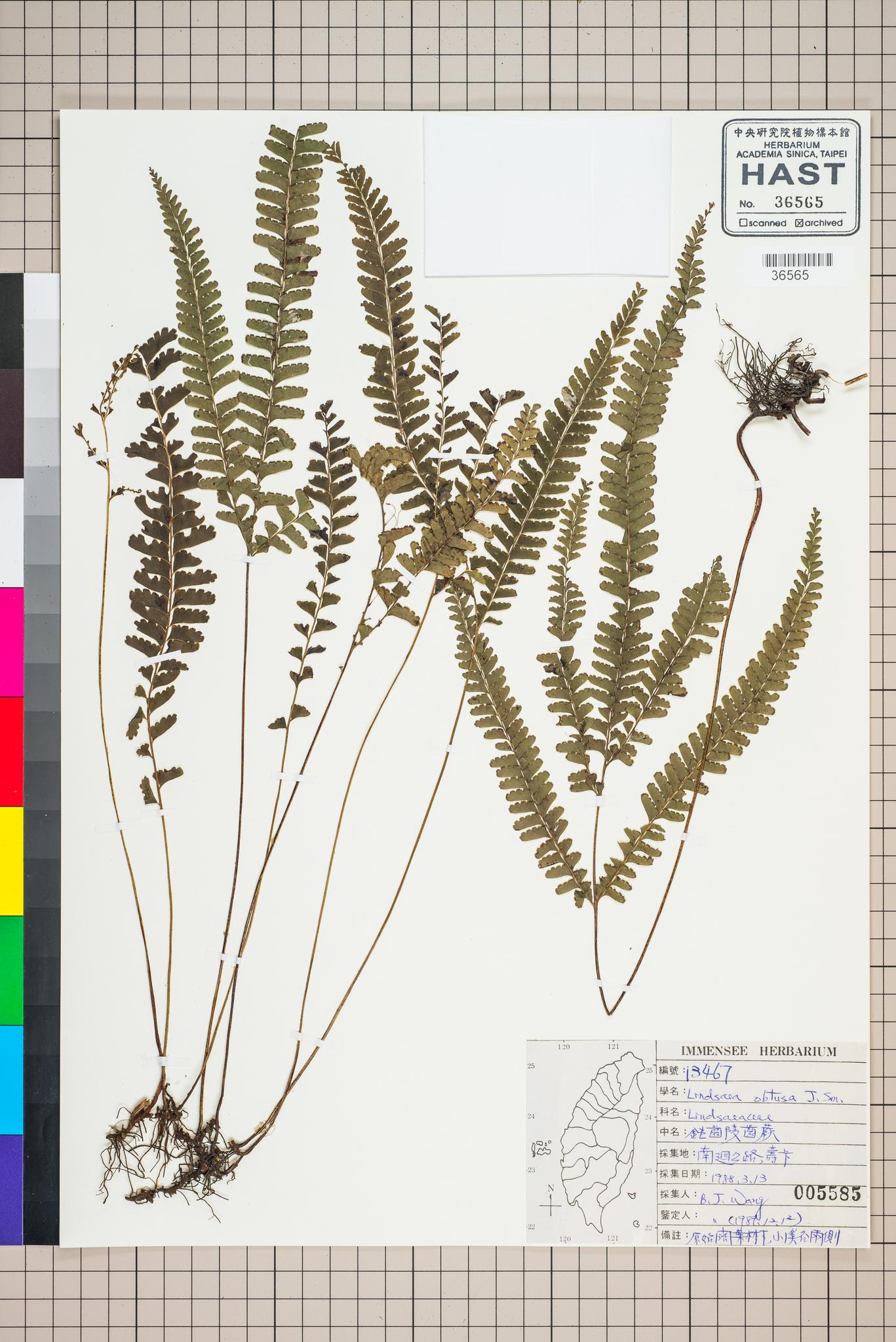 Sample image for viewer