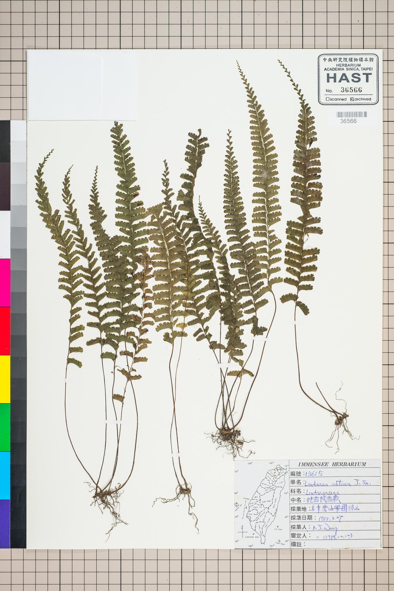 Sample image for viewer