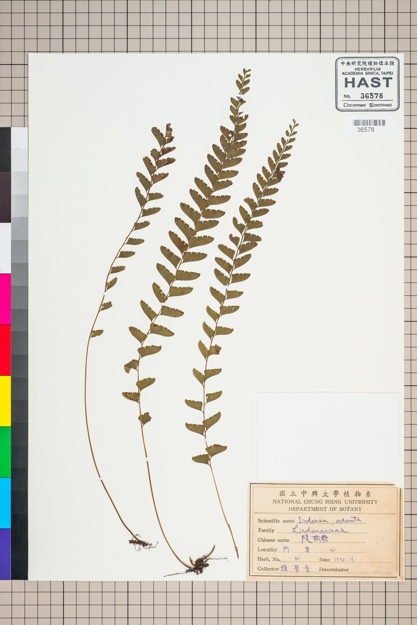 Sample image for viewer