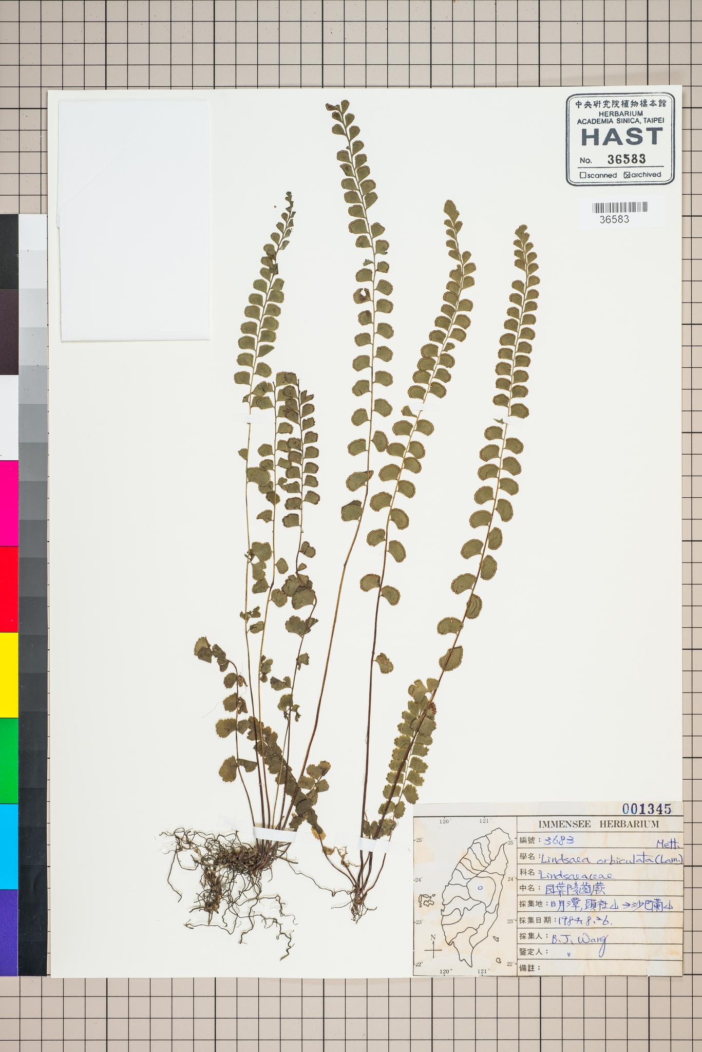 Sample image for viewer